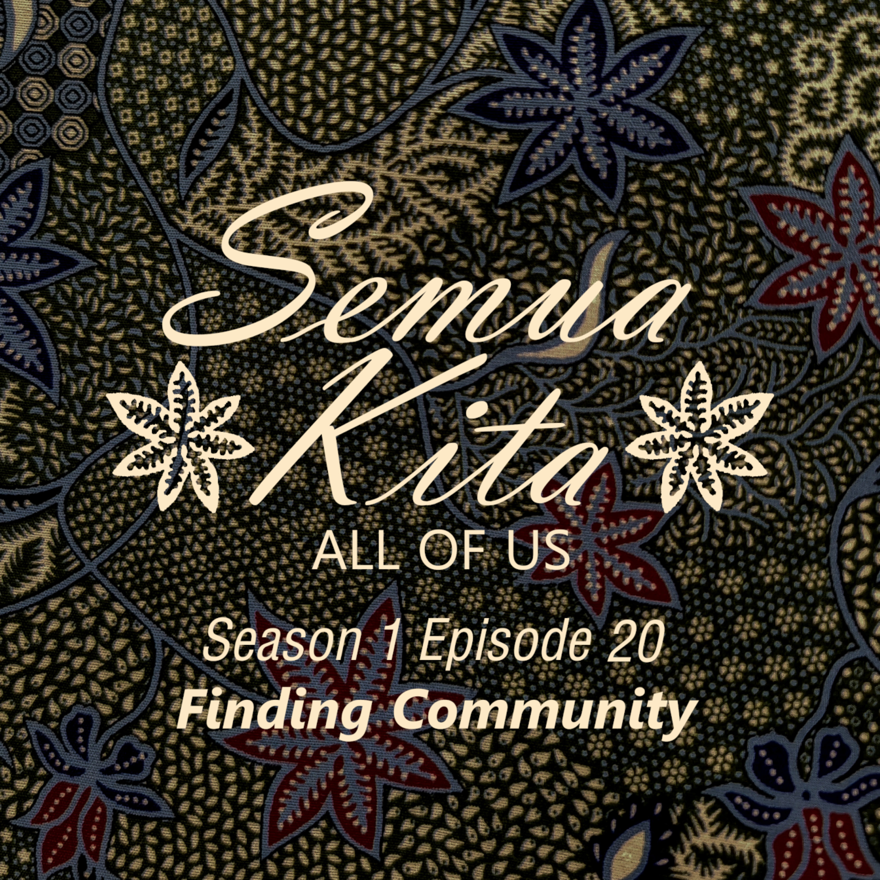 S01E20 Finding Community episode artwork