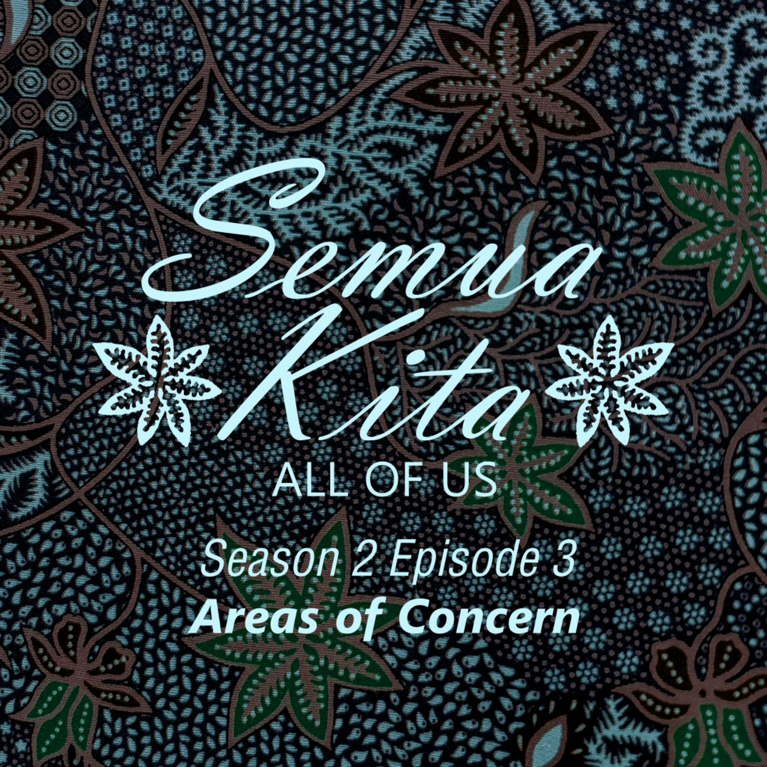 S02E03 Areas of Concern episode artwork