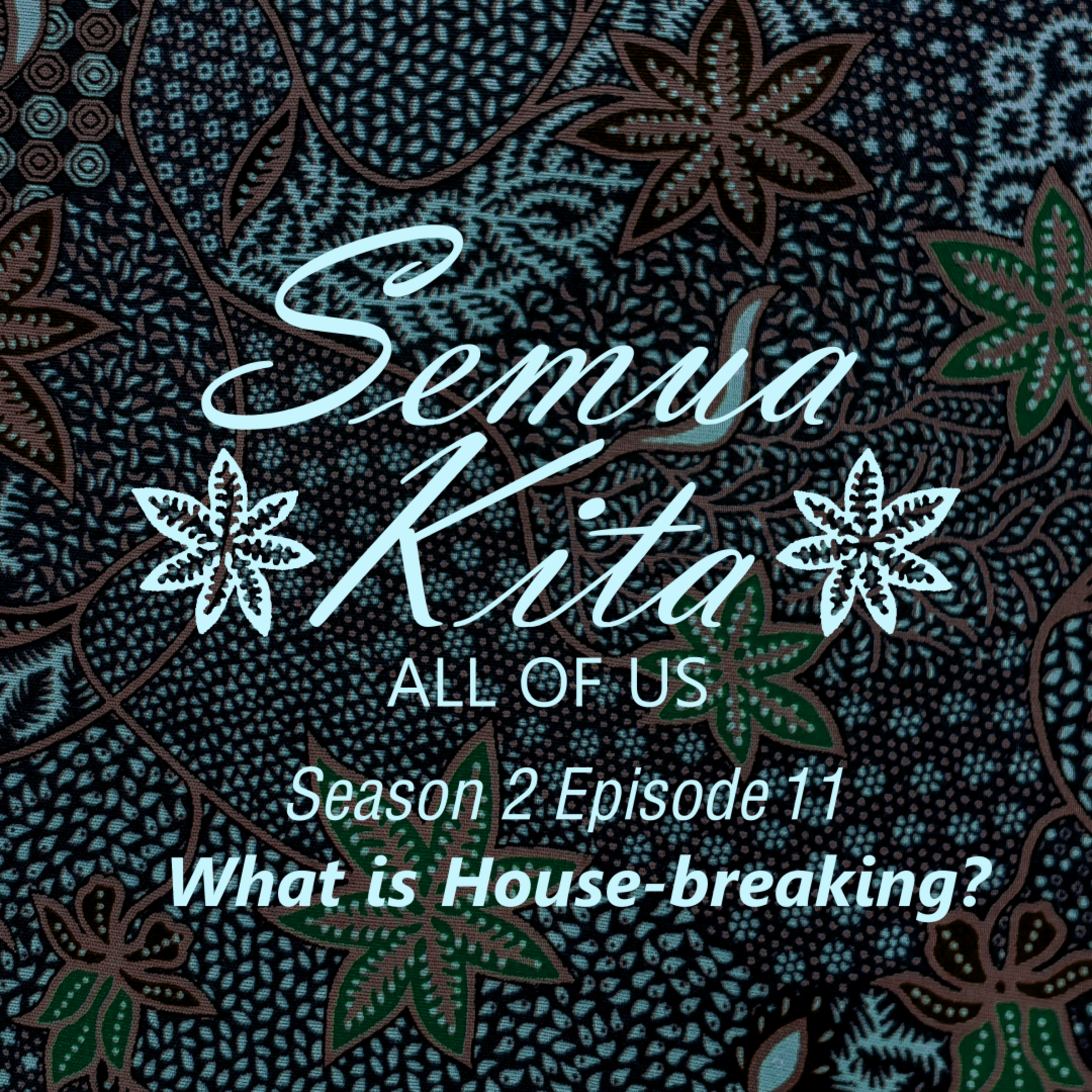 S02E11 What is House-breaking? episode artwork