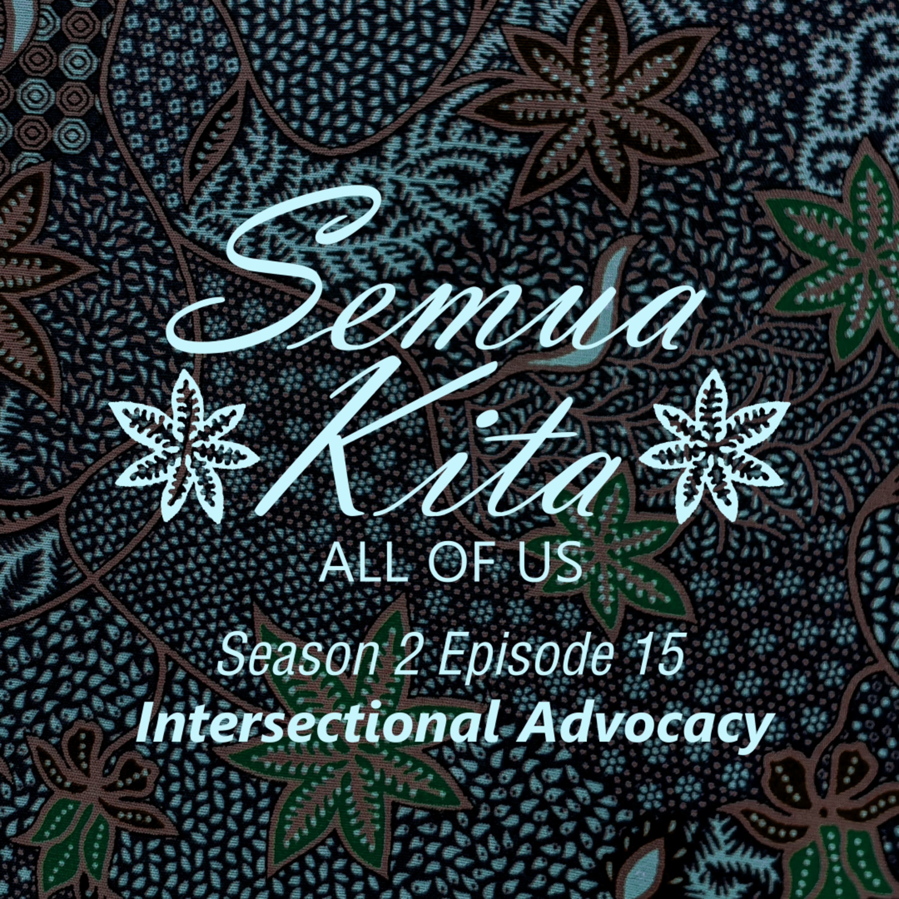S02E15 Intersectional Advocacy episode artwork