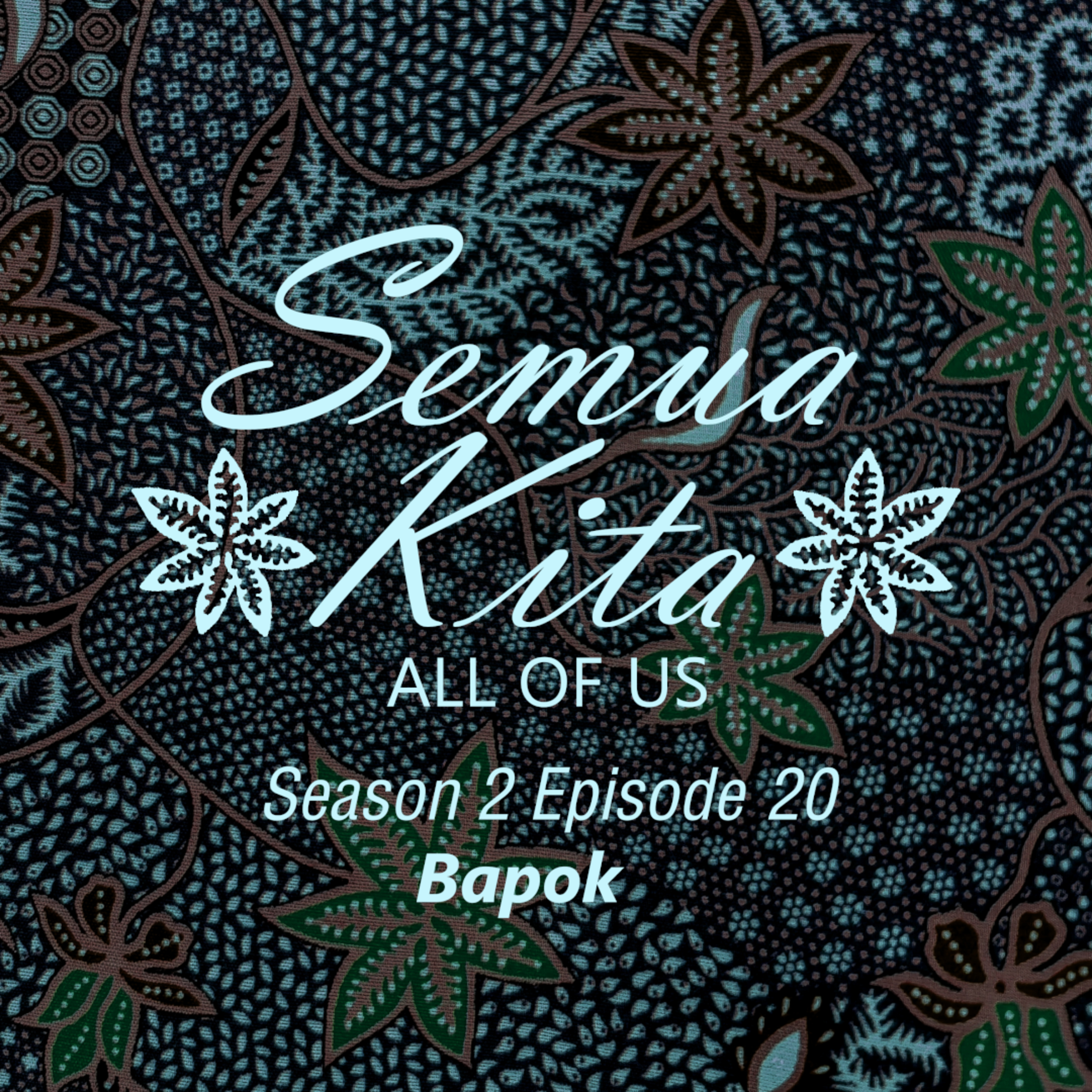S02E20 Bapok episode artwork