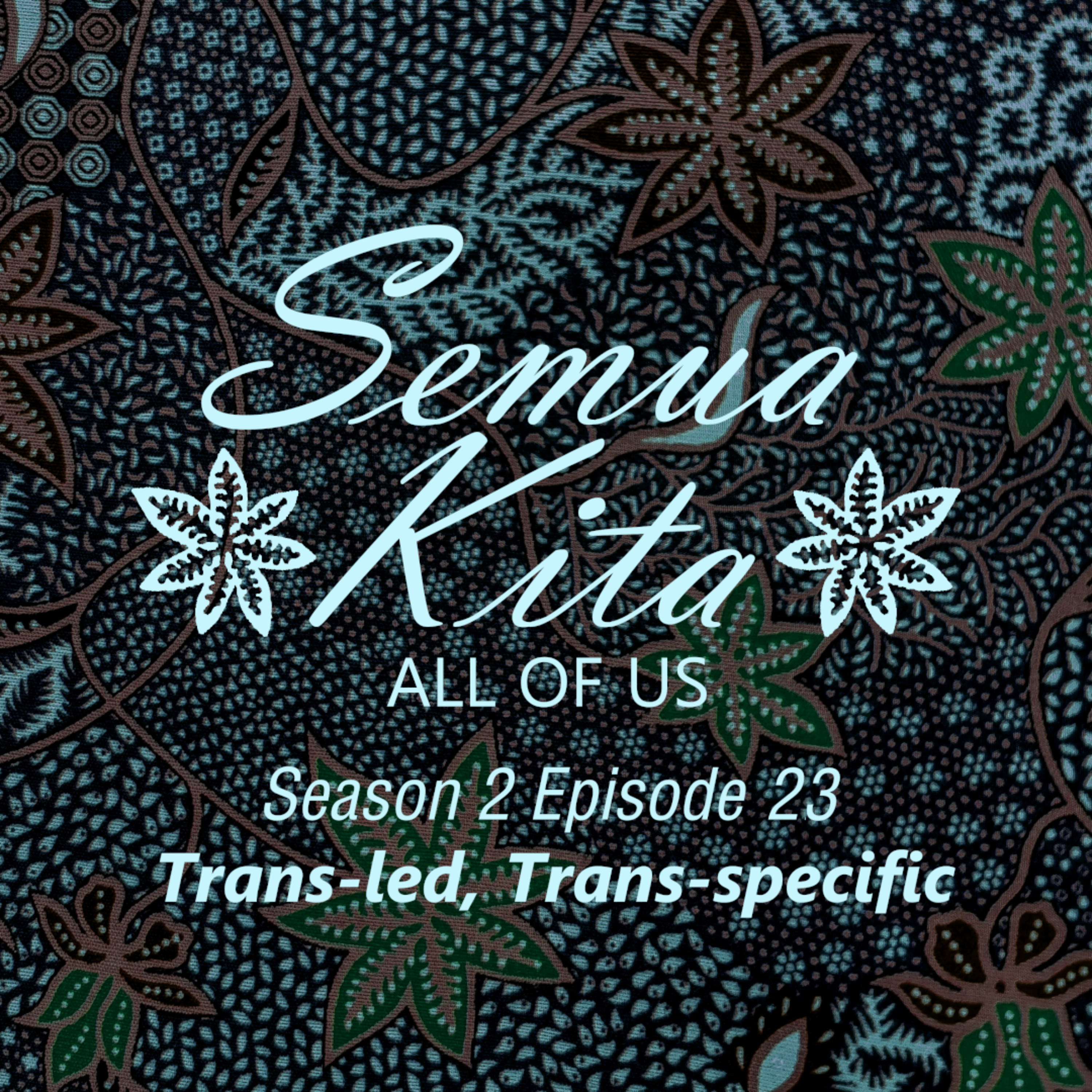 S02E23 Trans-led, Trans-specific episode artwork