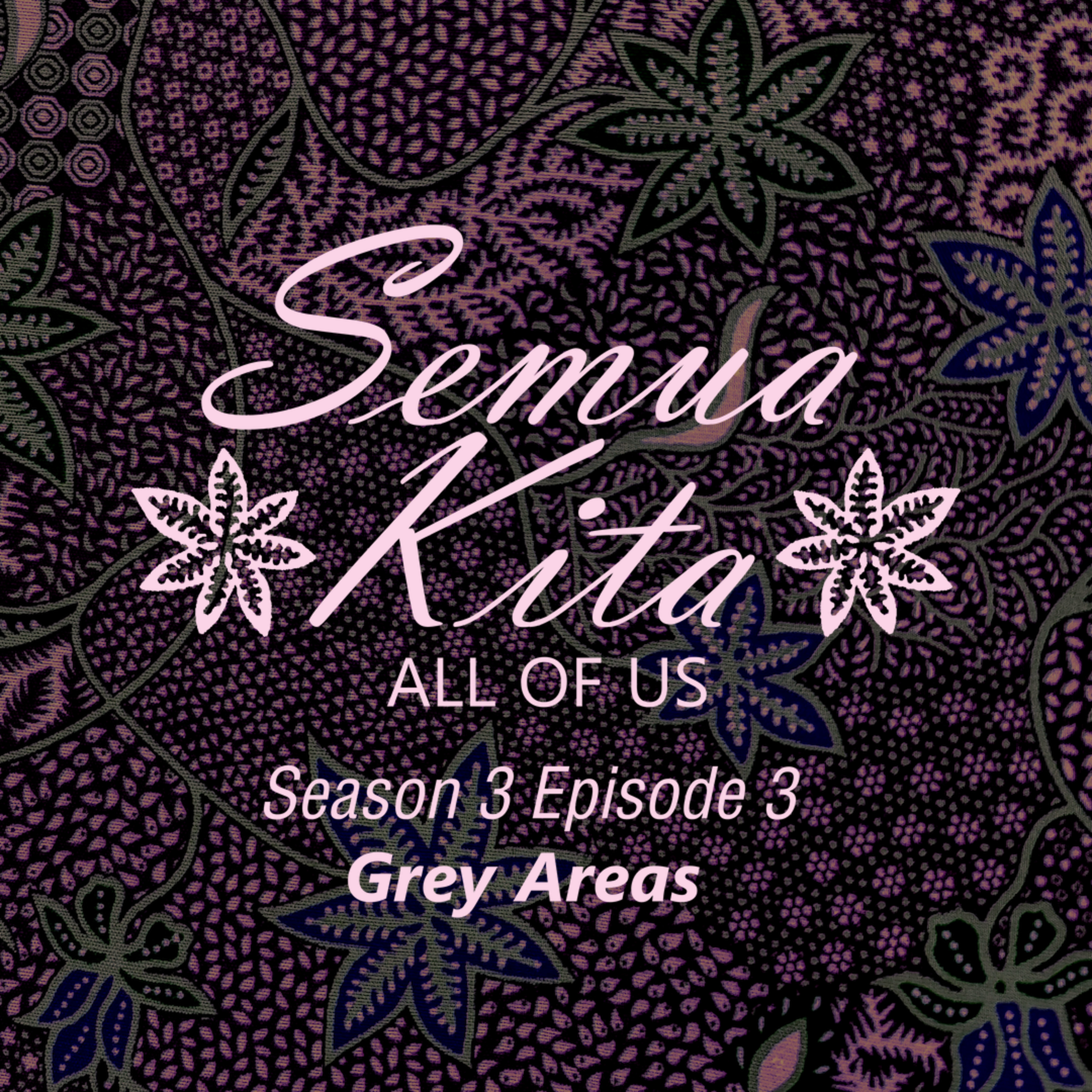 S03E03 Grey Areas episode artwork