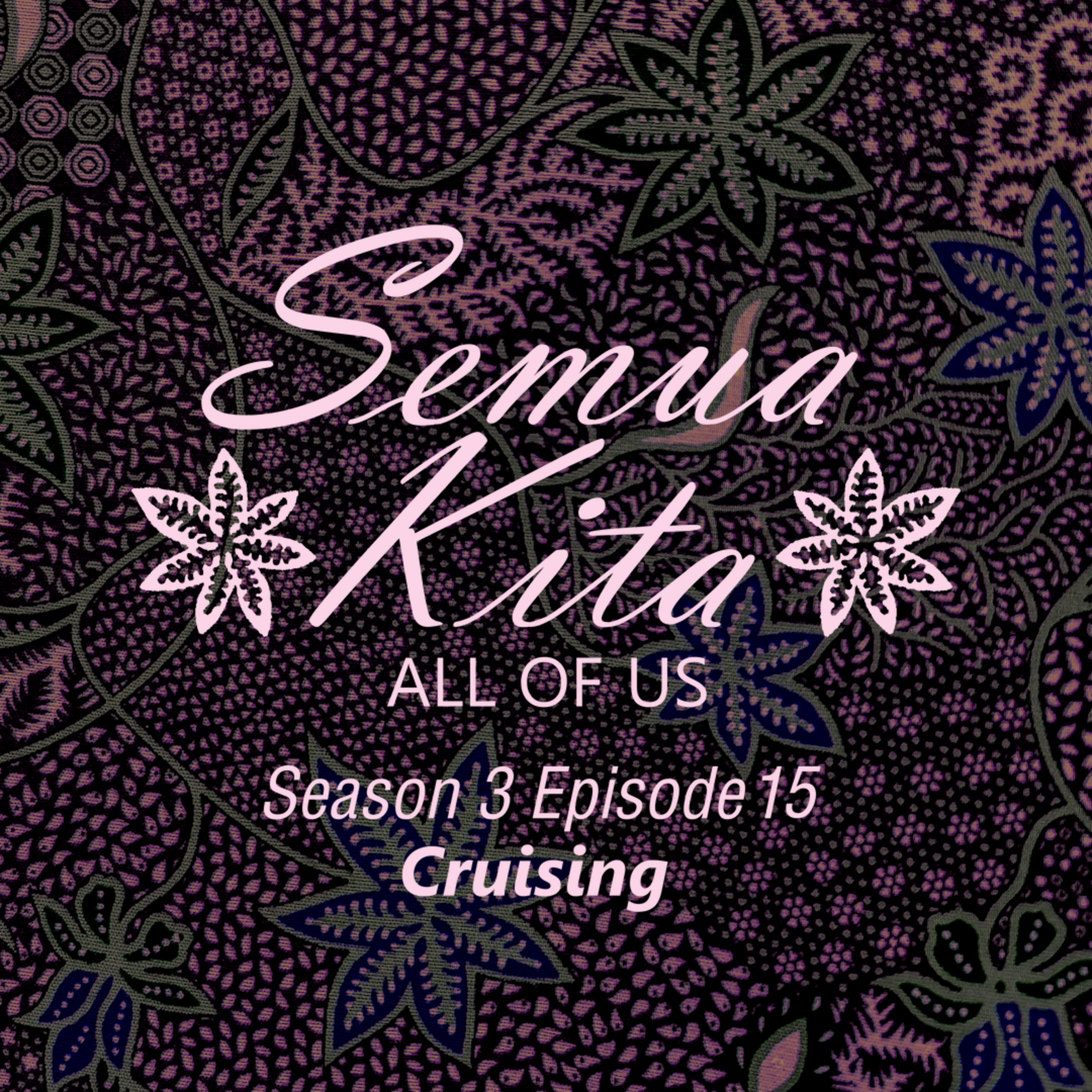 S03E15 Cruising