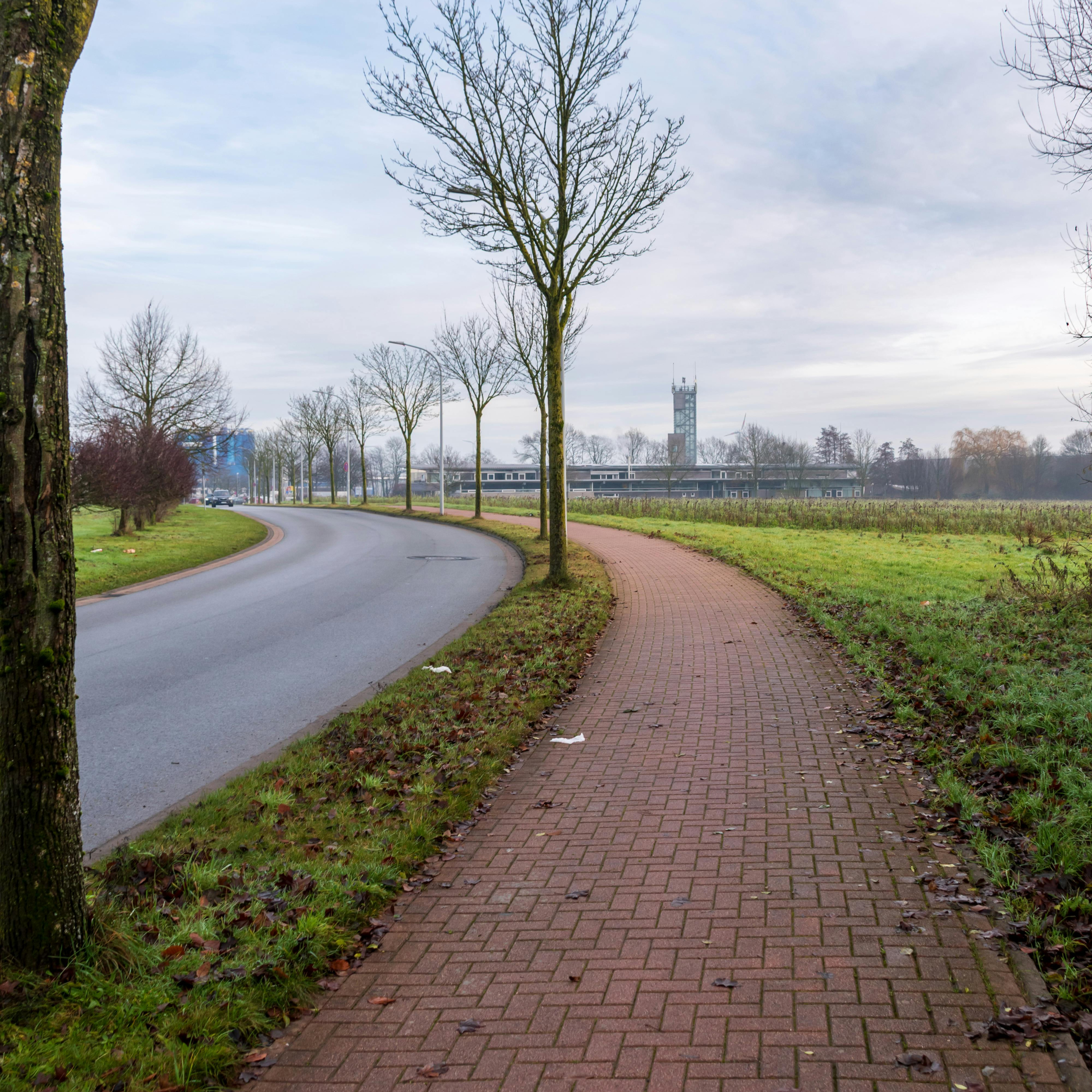 Nacer, Crecer y Aprender