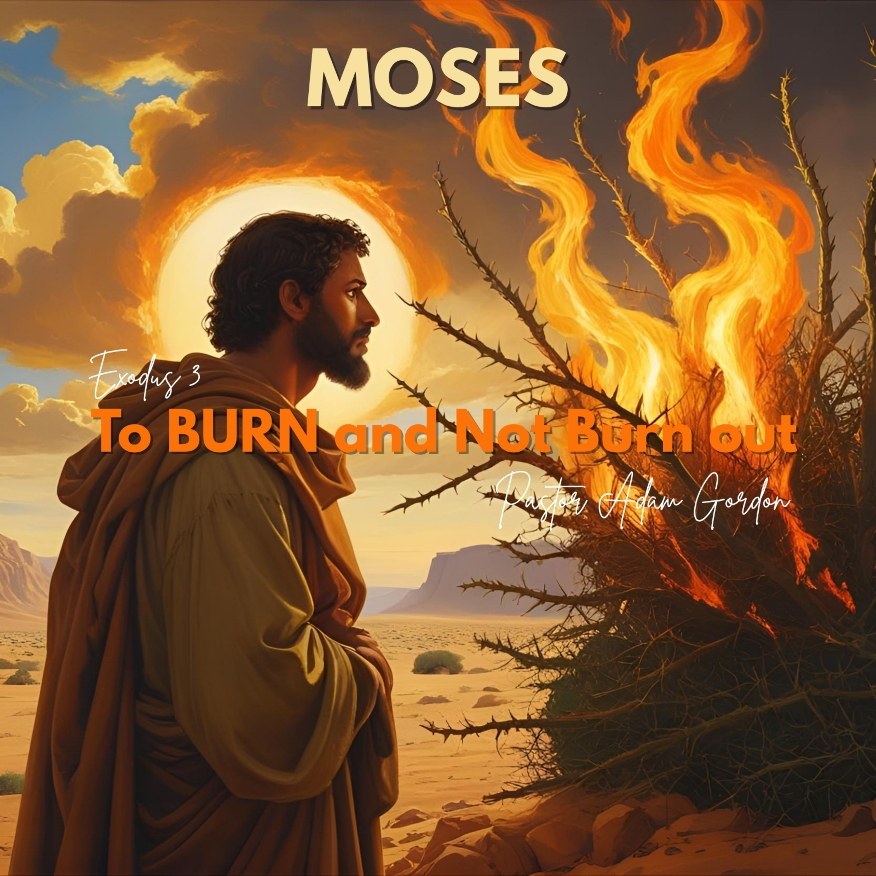 To Burn and Not Burn Out | 1.The Burning Bush | Exodus 3 episode artwork