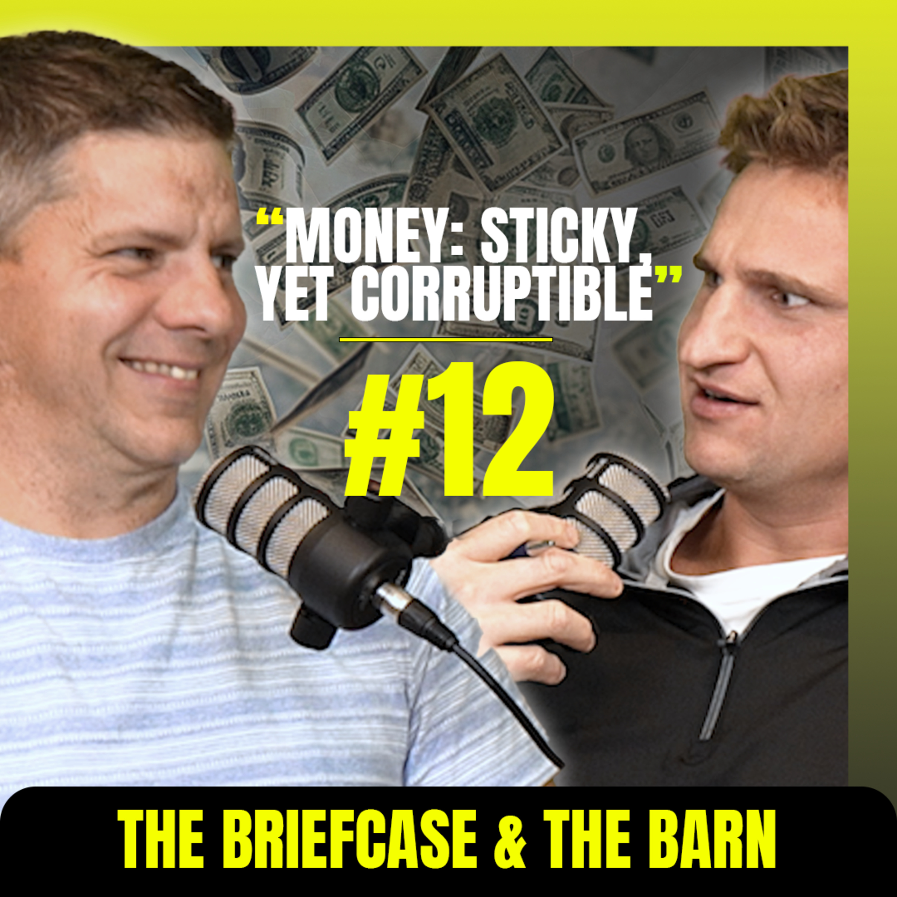 Wisdom, Work Mules, and Million Dollar Farms - The Briefcase and the Barn - Episode 12 episode artwork