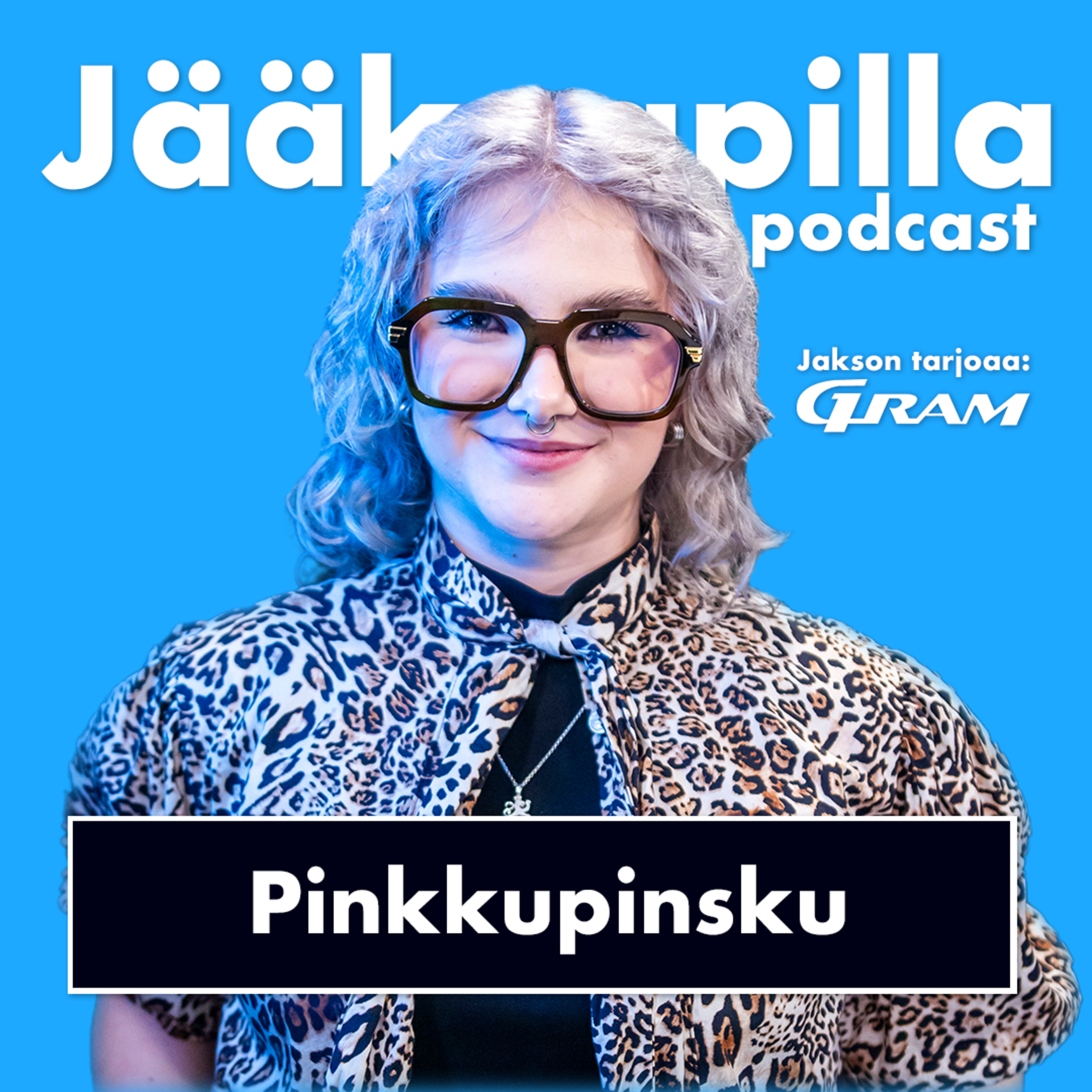 Pinkkupinsku: Erikoisia diettejä ja ulkonäköpaineita episode artwork