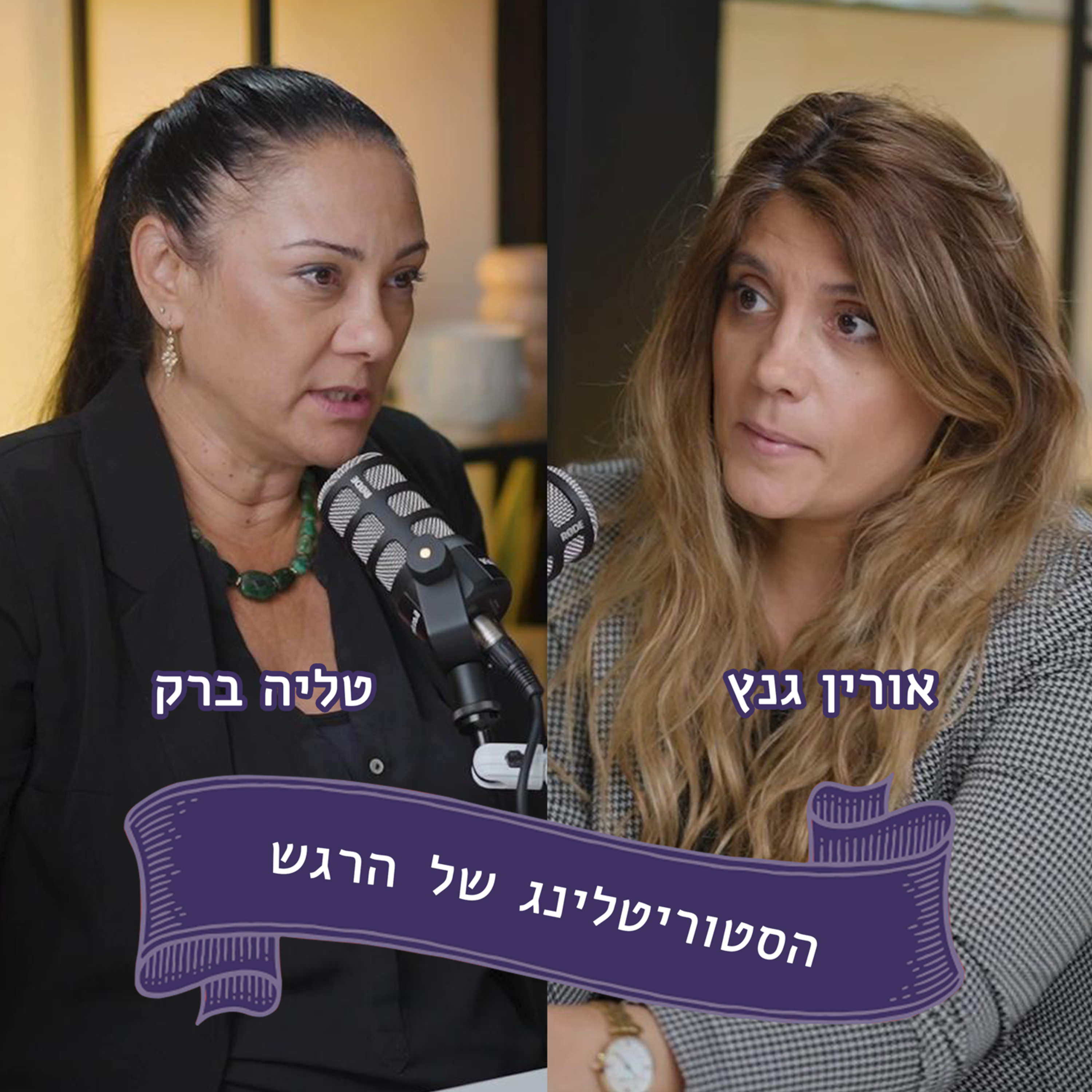 אורין גנץ אמא של עדן זכריה מתארחת אצל טליה ברק - עדן זכריה נרצחה ונחטפה ב 7/10 episode artwork