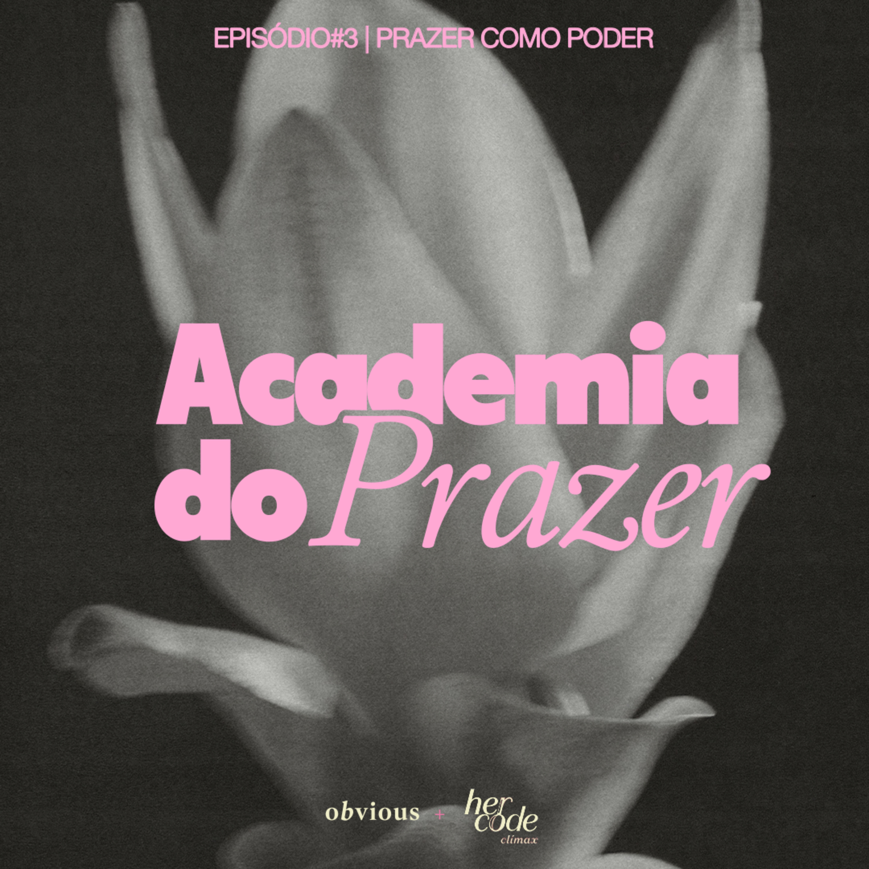 academia do prazer: #03/prazer como poder