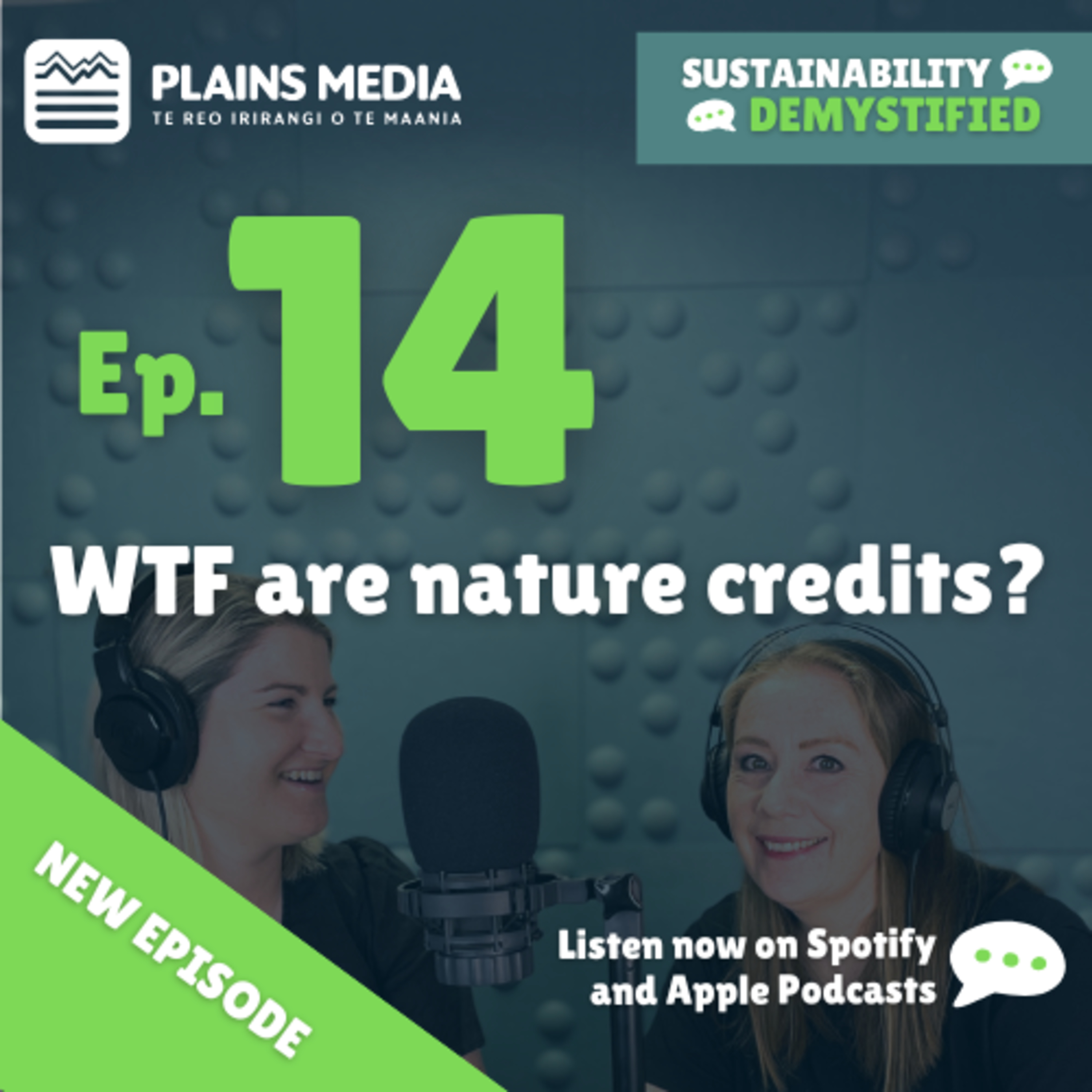 Sustainability Demystified