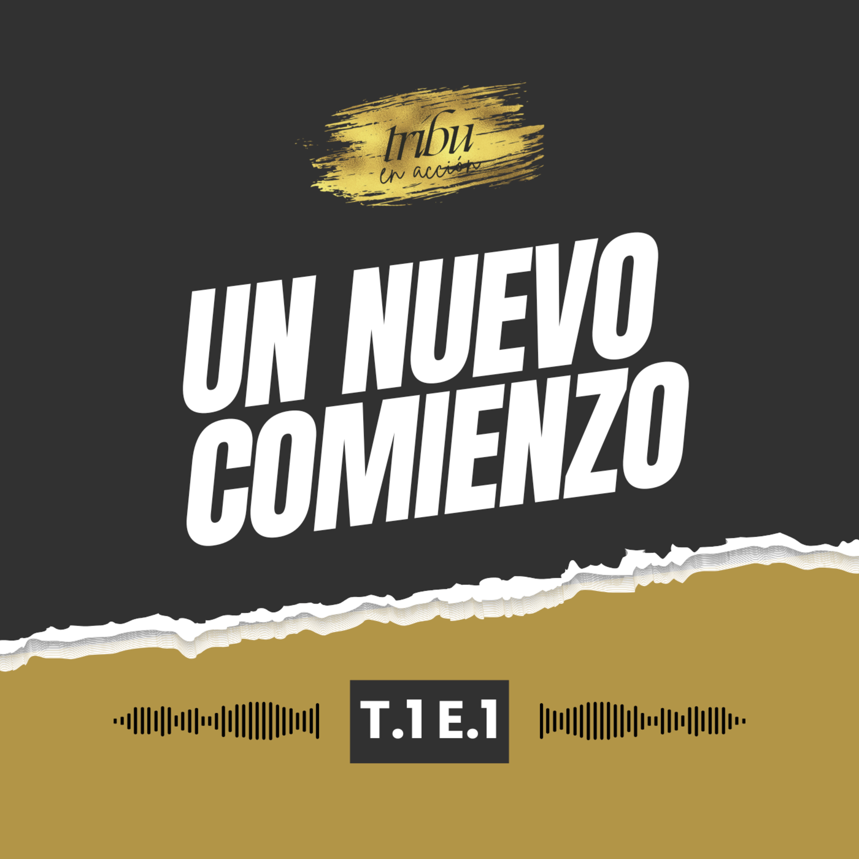 Tribu en Acción