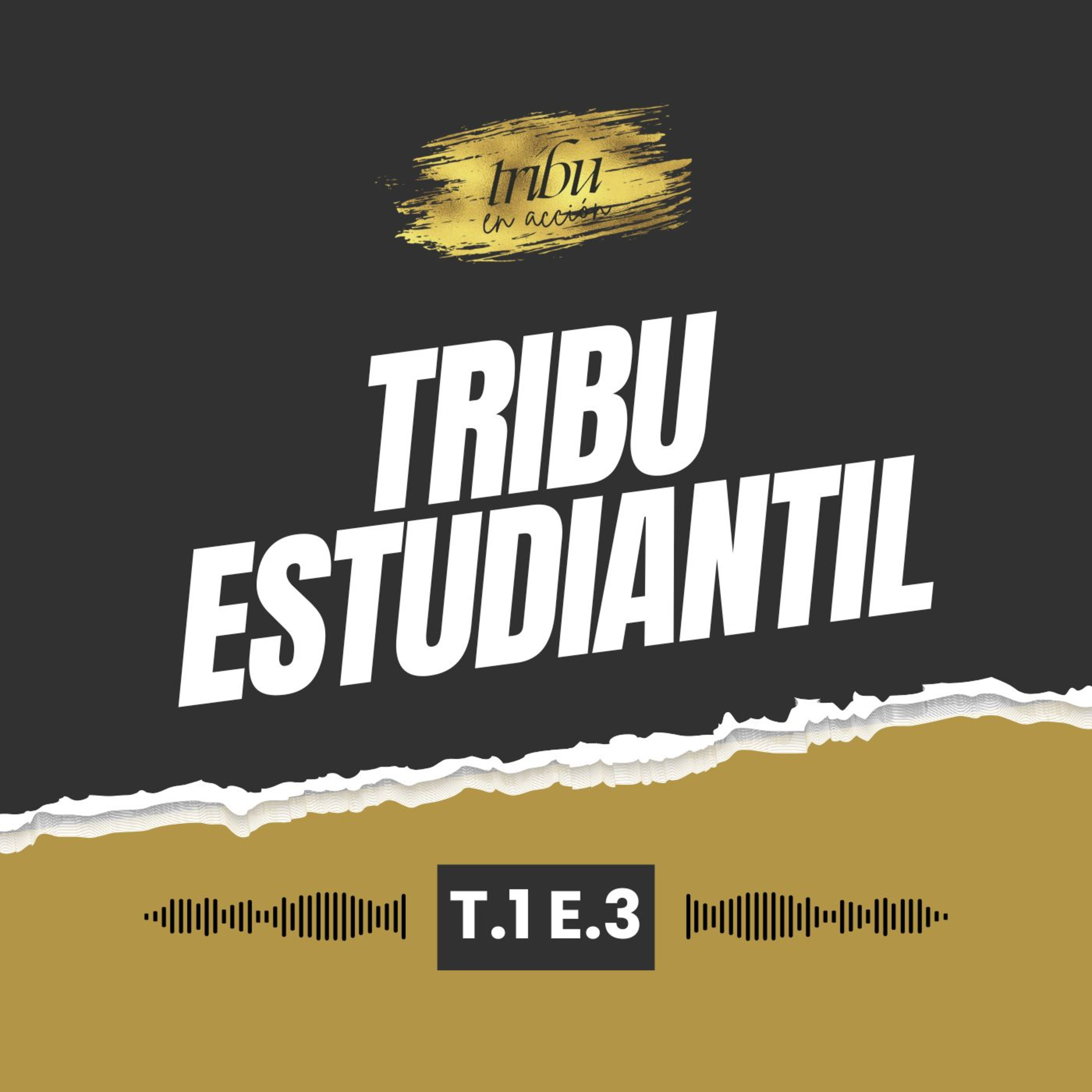 Tribu en Acción