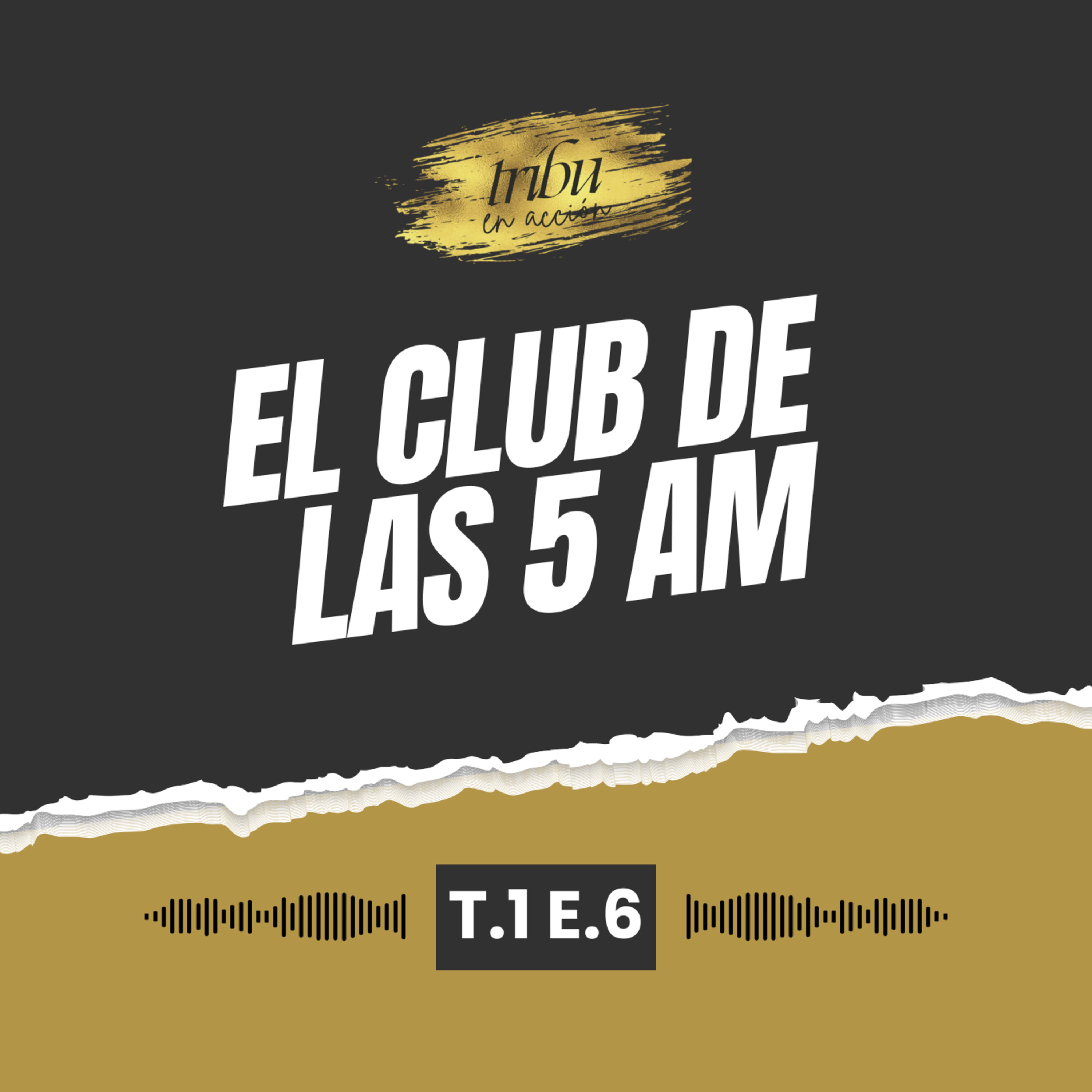 Tribu en Acción