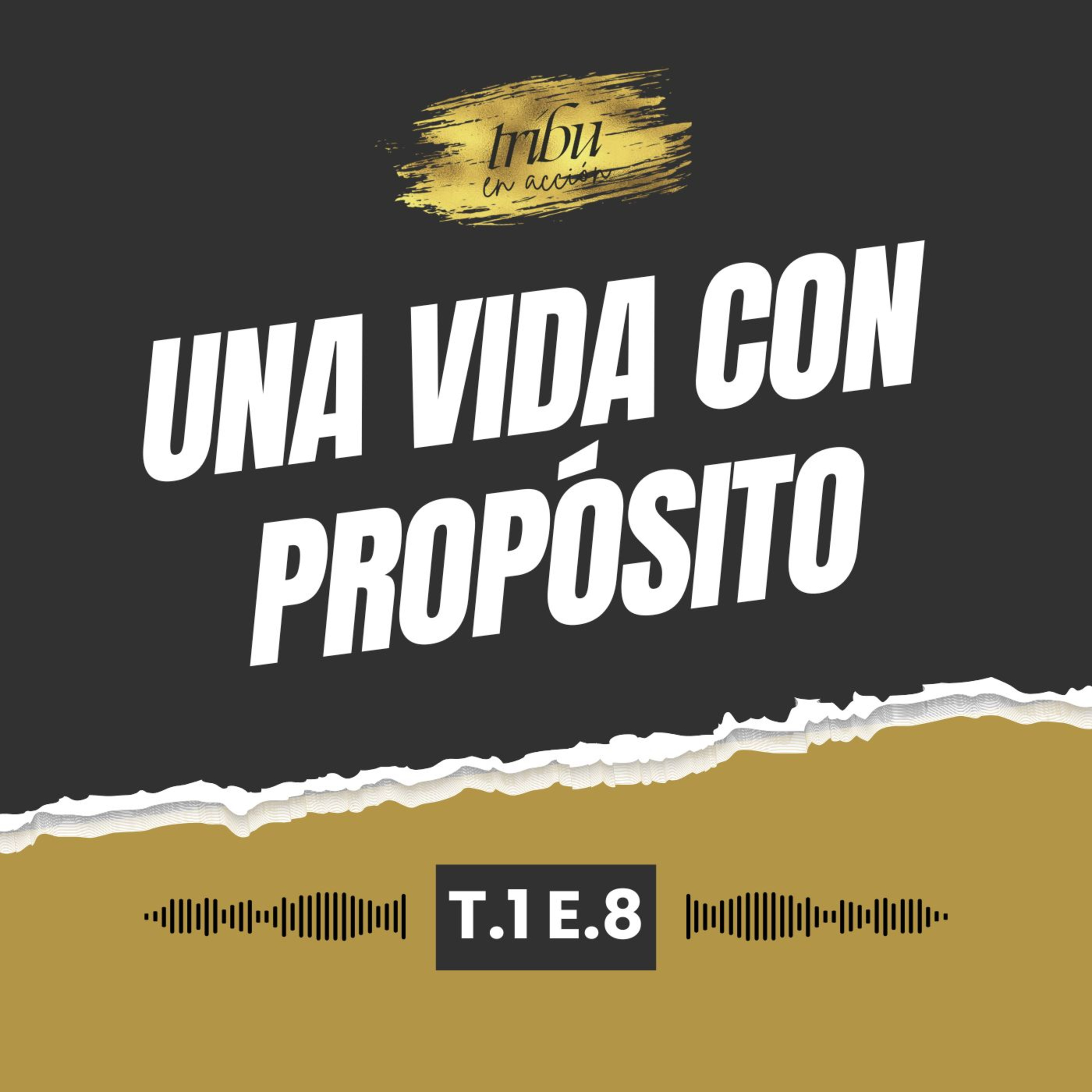 Tribu en Acción