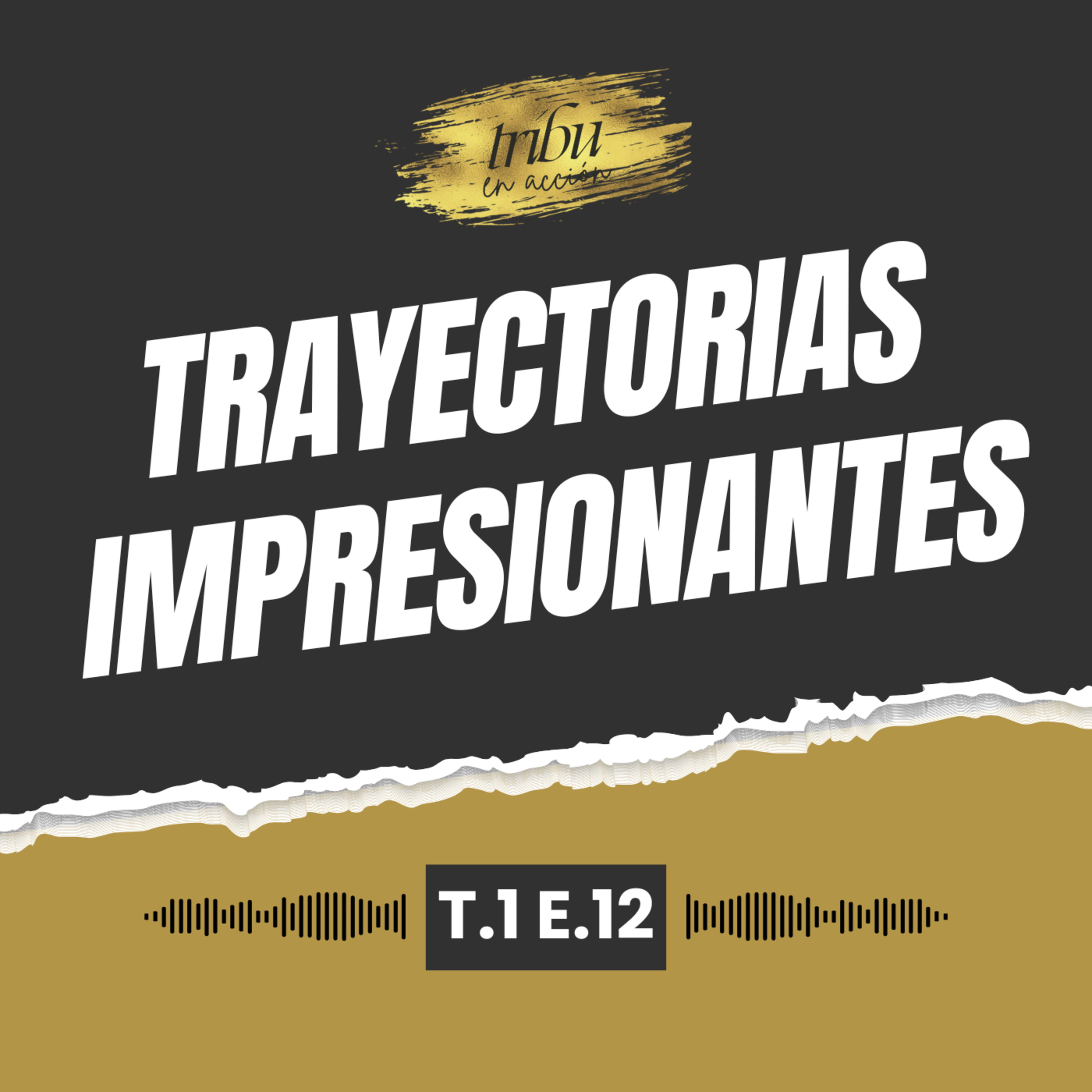 Tribu en Acción