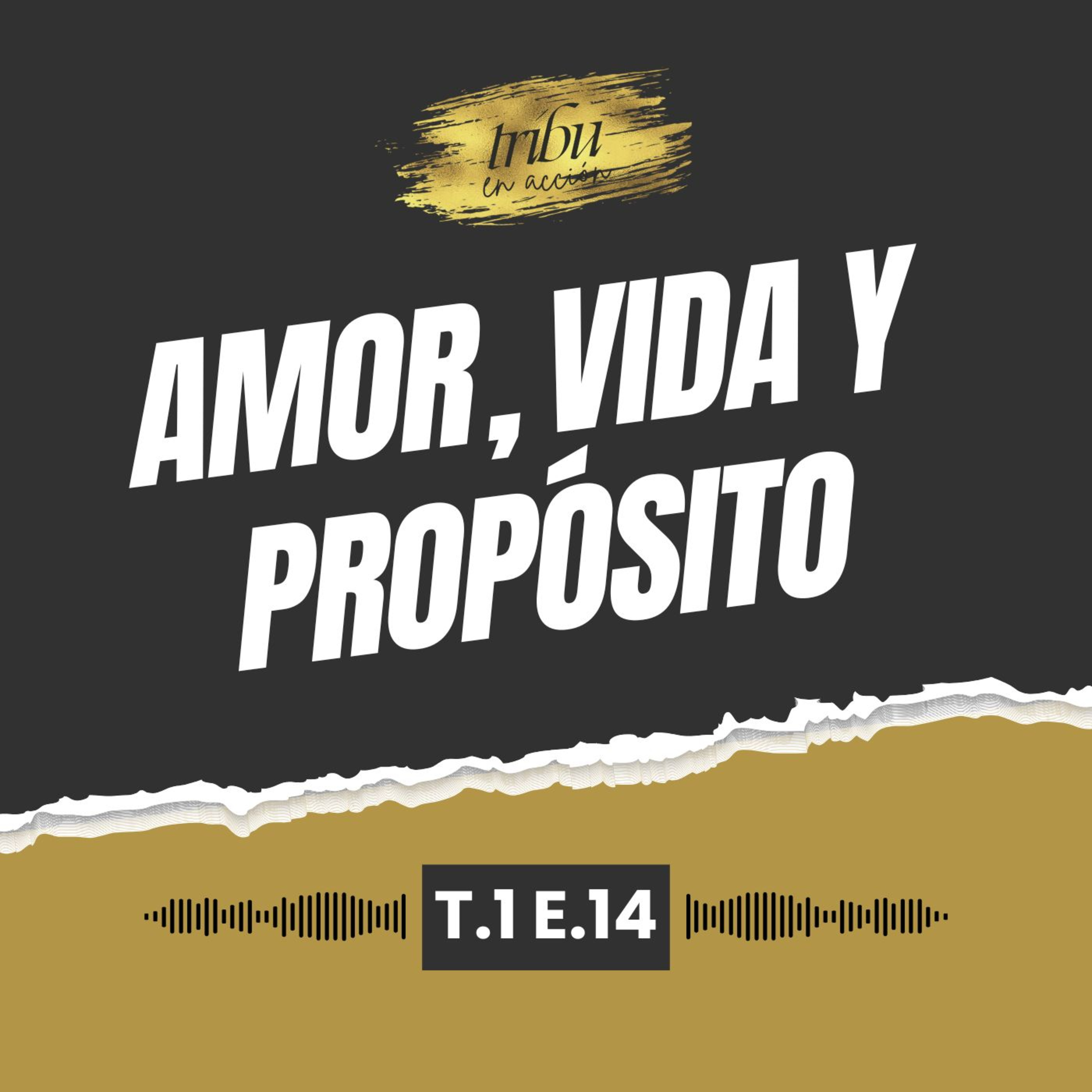 Tribu en Acción
