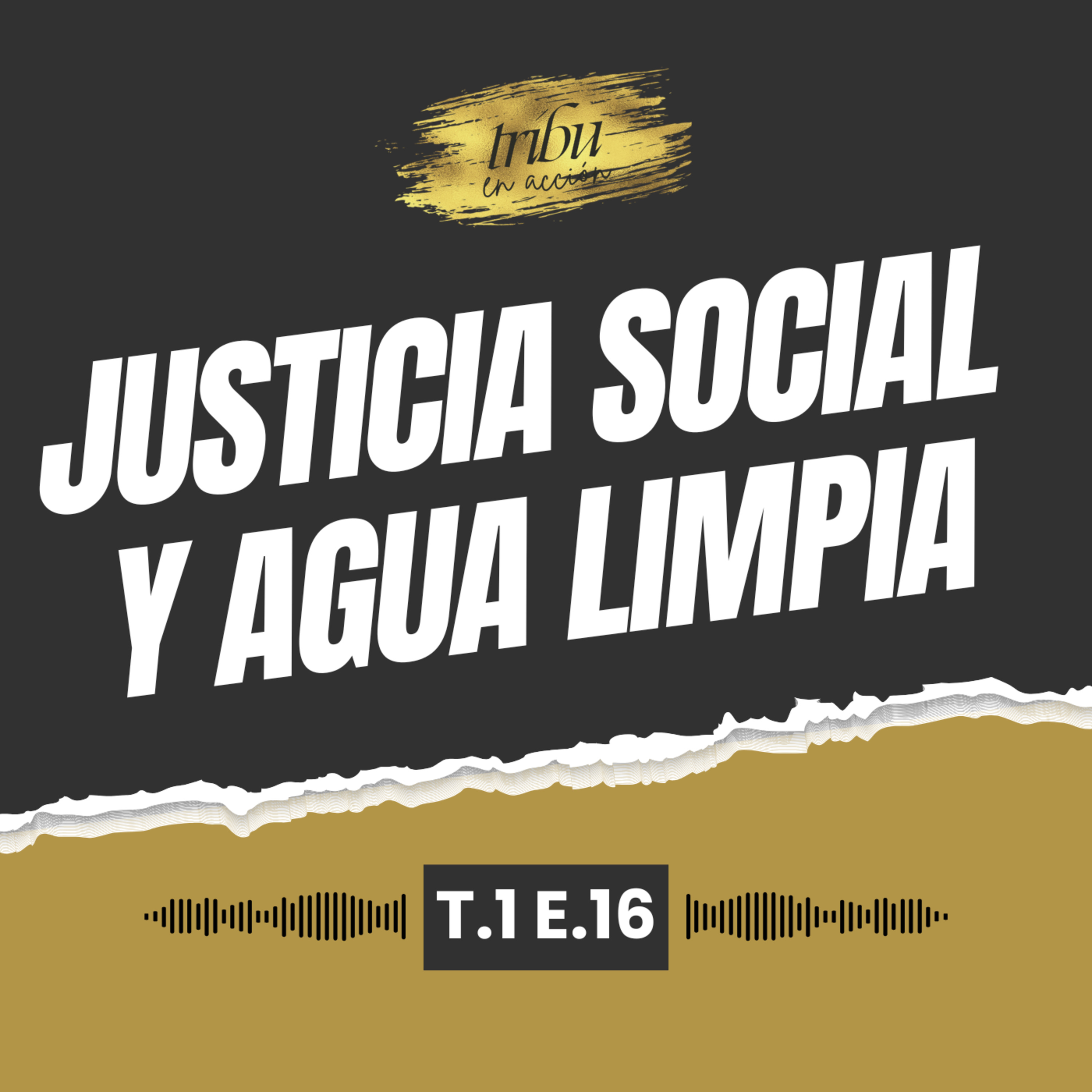 Tribu en Acción