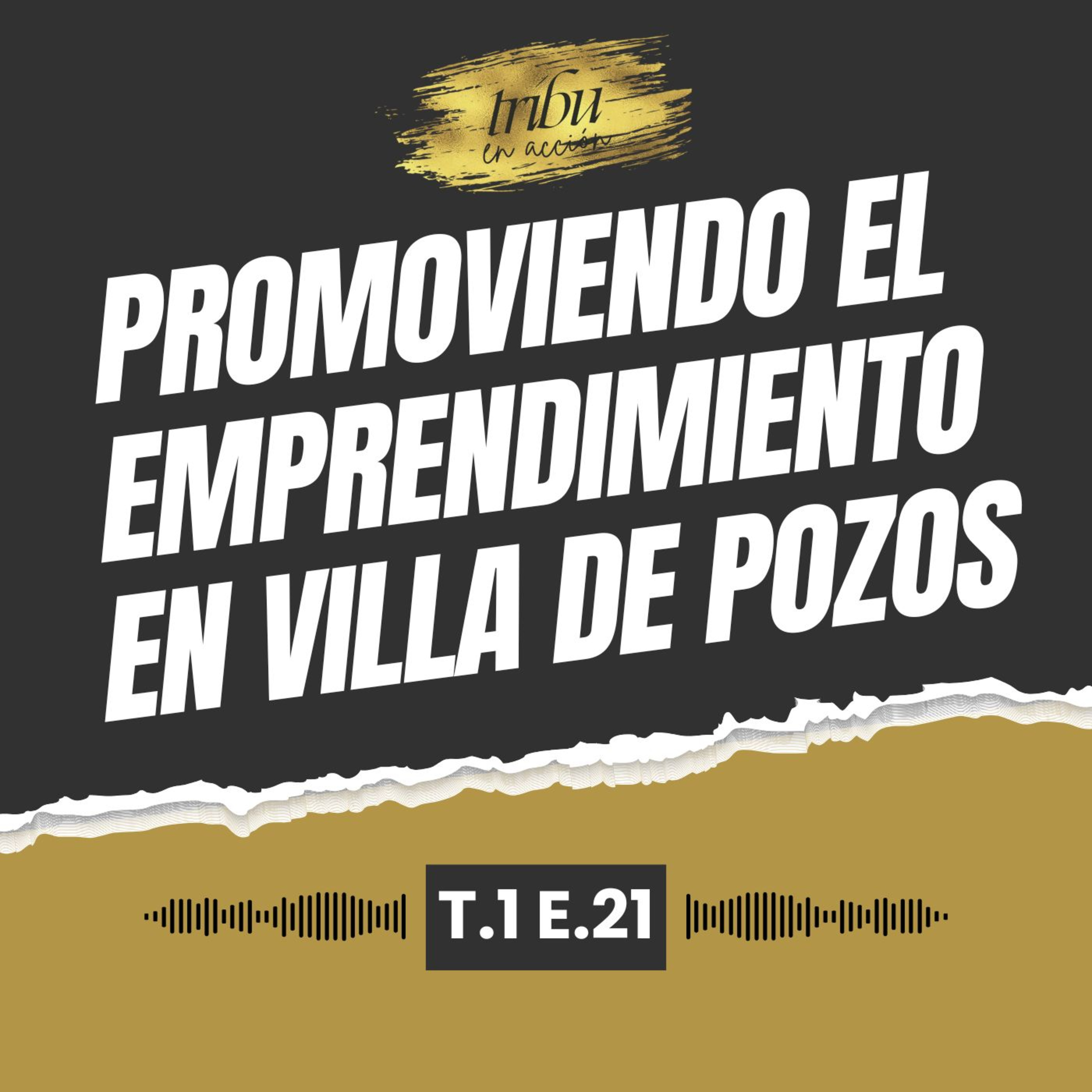 Tribu en Acción