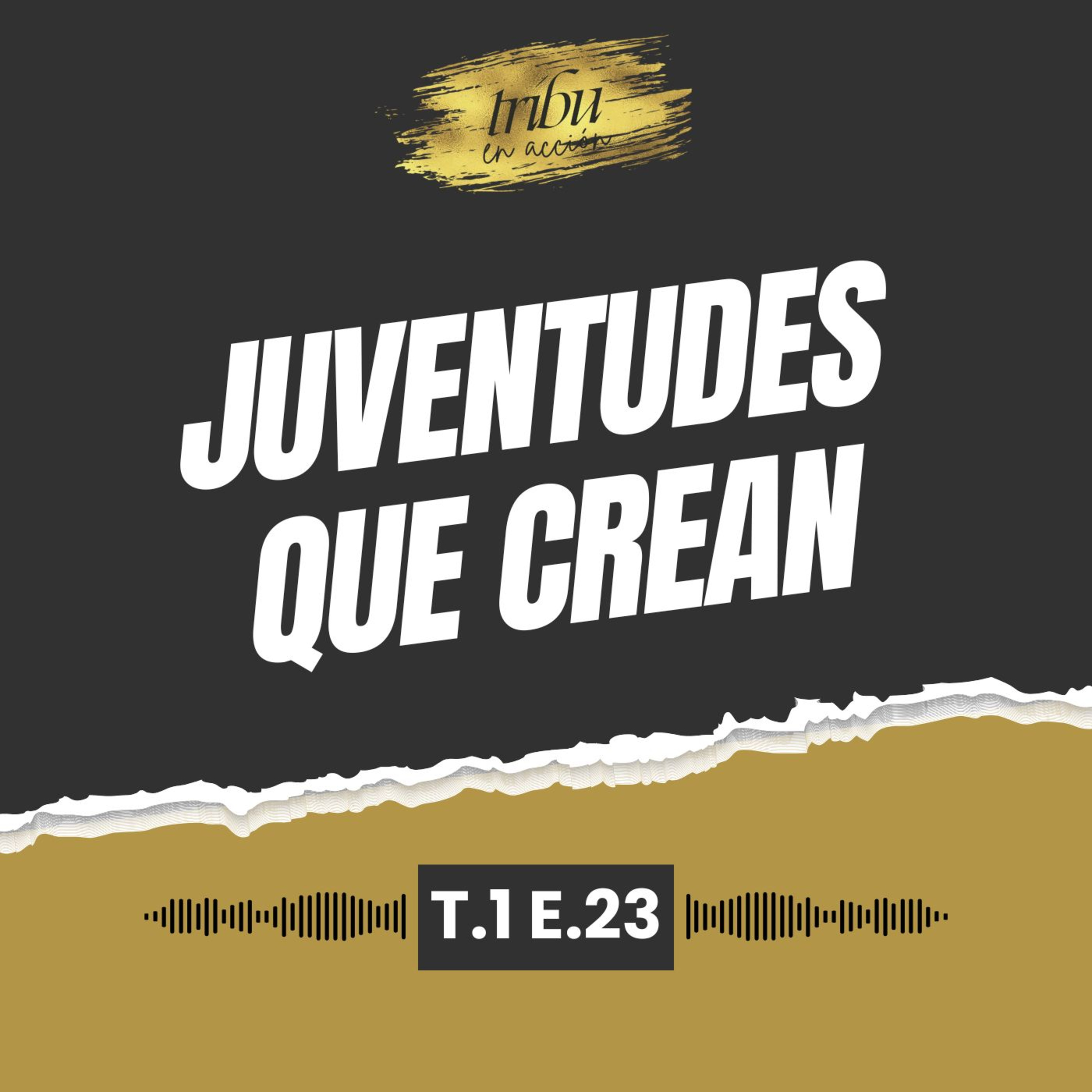 Tribu en Acción