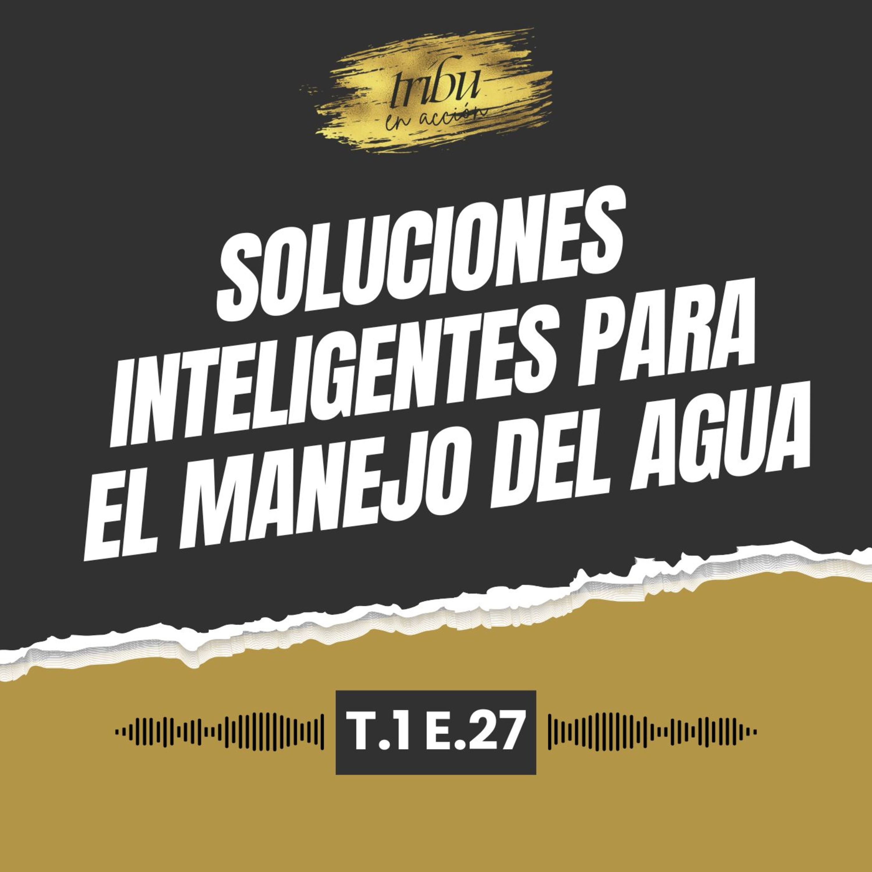 Tribu en Acción