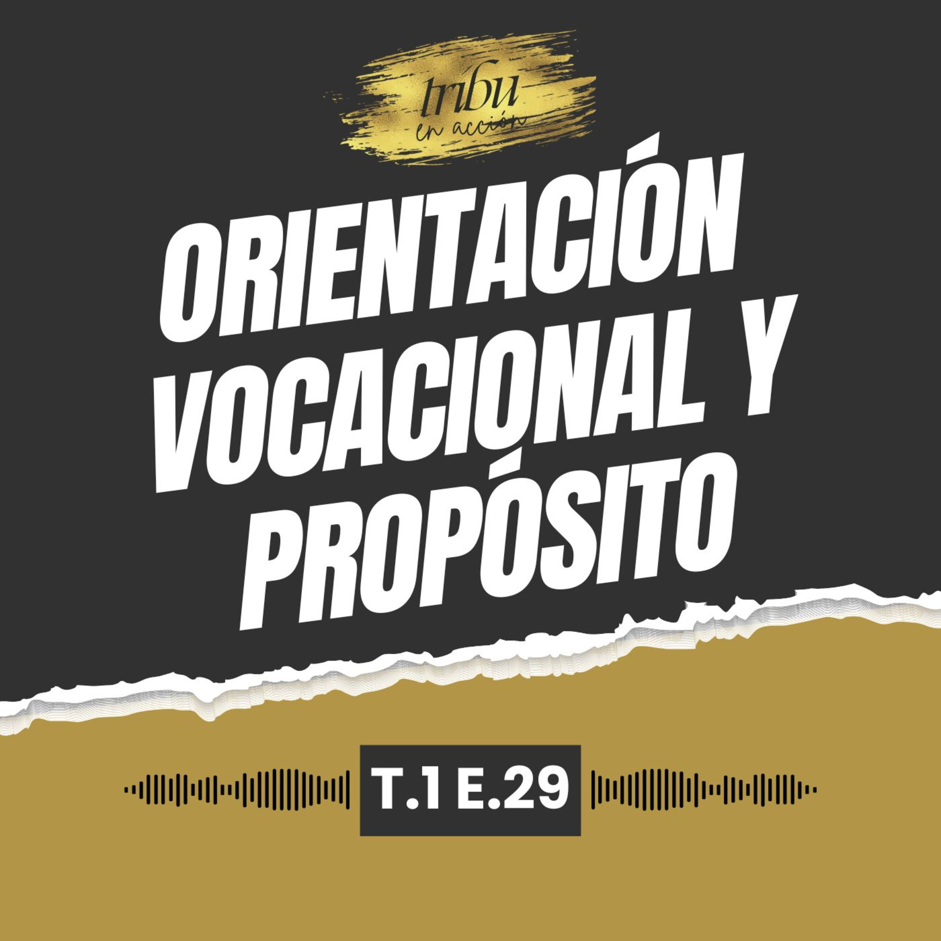 Tribu en Acción