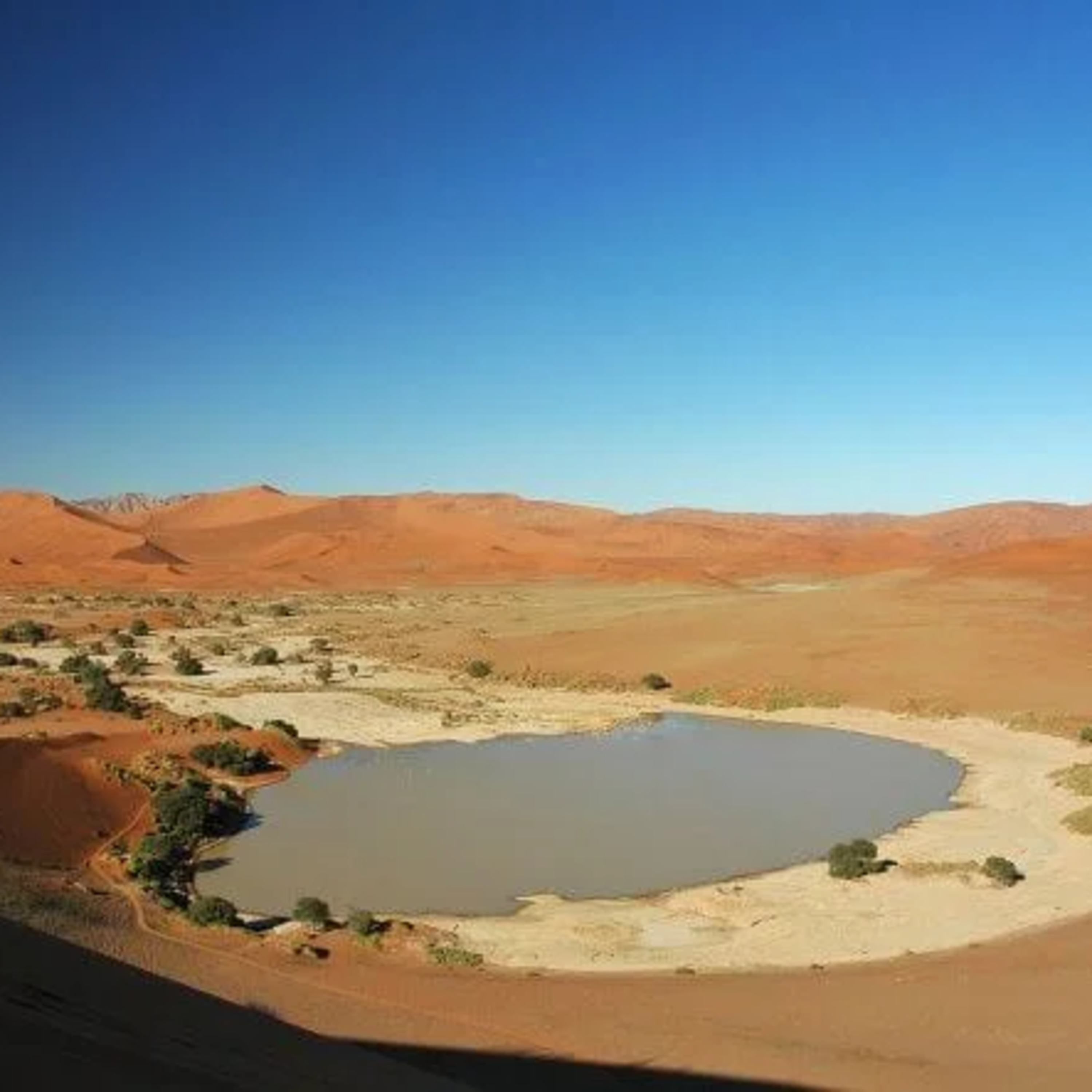 Khám phá vẻ đẹp kỳ vĩ của hoang mạc Namibia Nam Phi với những đụn cát khổng lồ episode artwork