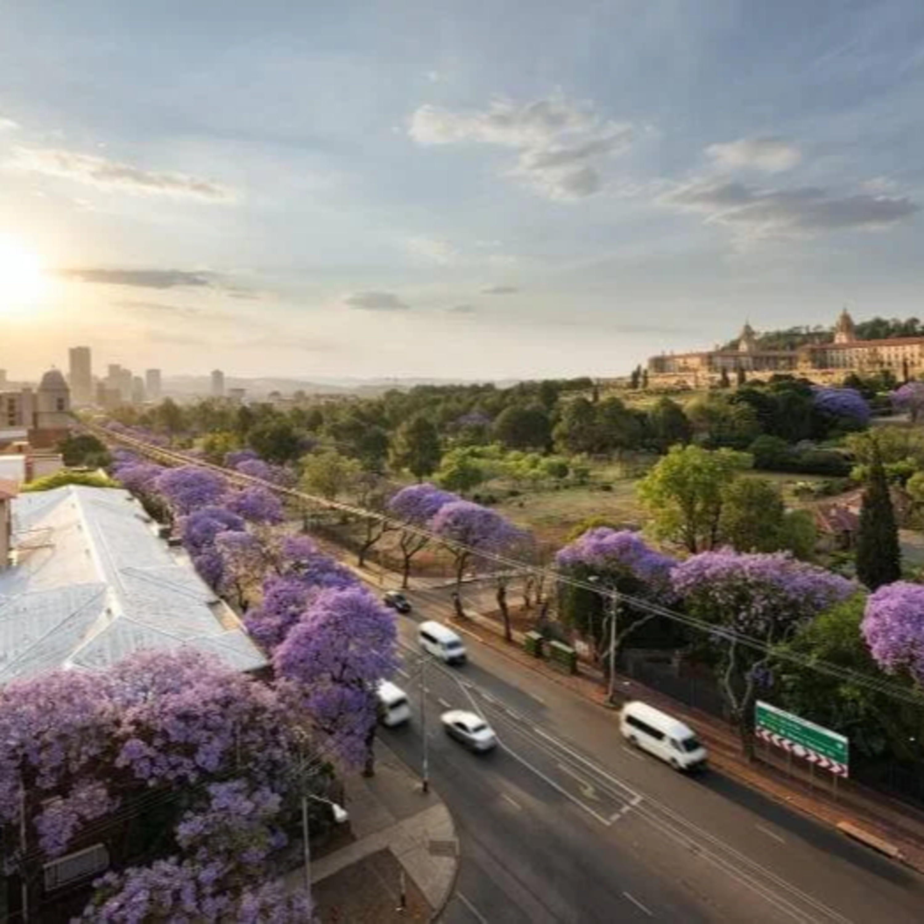 Du Lịch Pretoria: Khám Phá Sắc Tím Của Thành Phố Lãng Mạn Hàng Đầu Nam Phi episode artwork