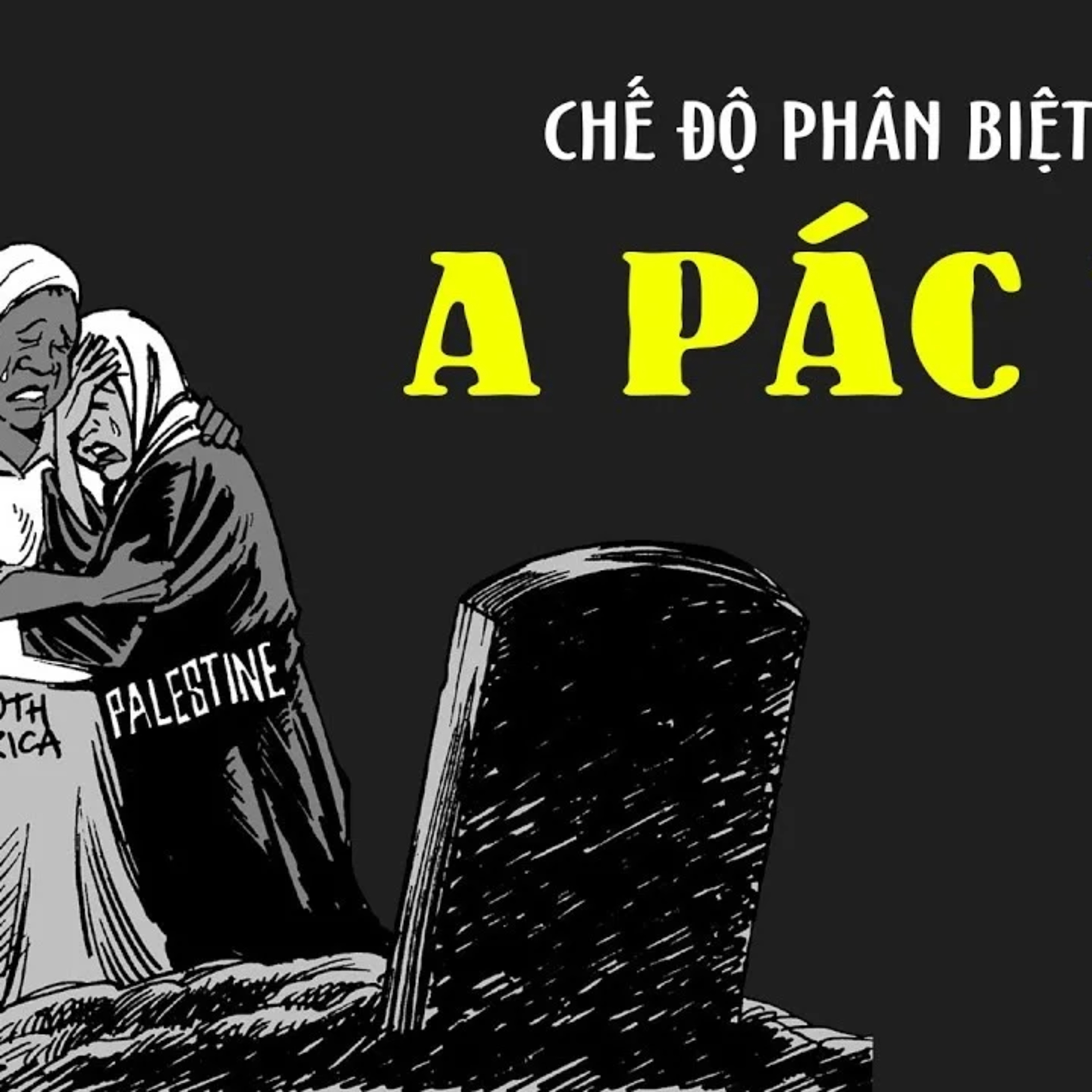 Chế độ A-pác-thai ở Nam Phi: Lịch sử, tác động và sự sụp đổ episode artwork