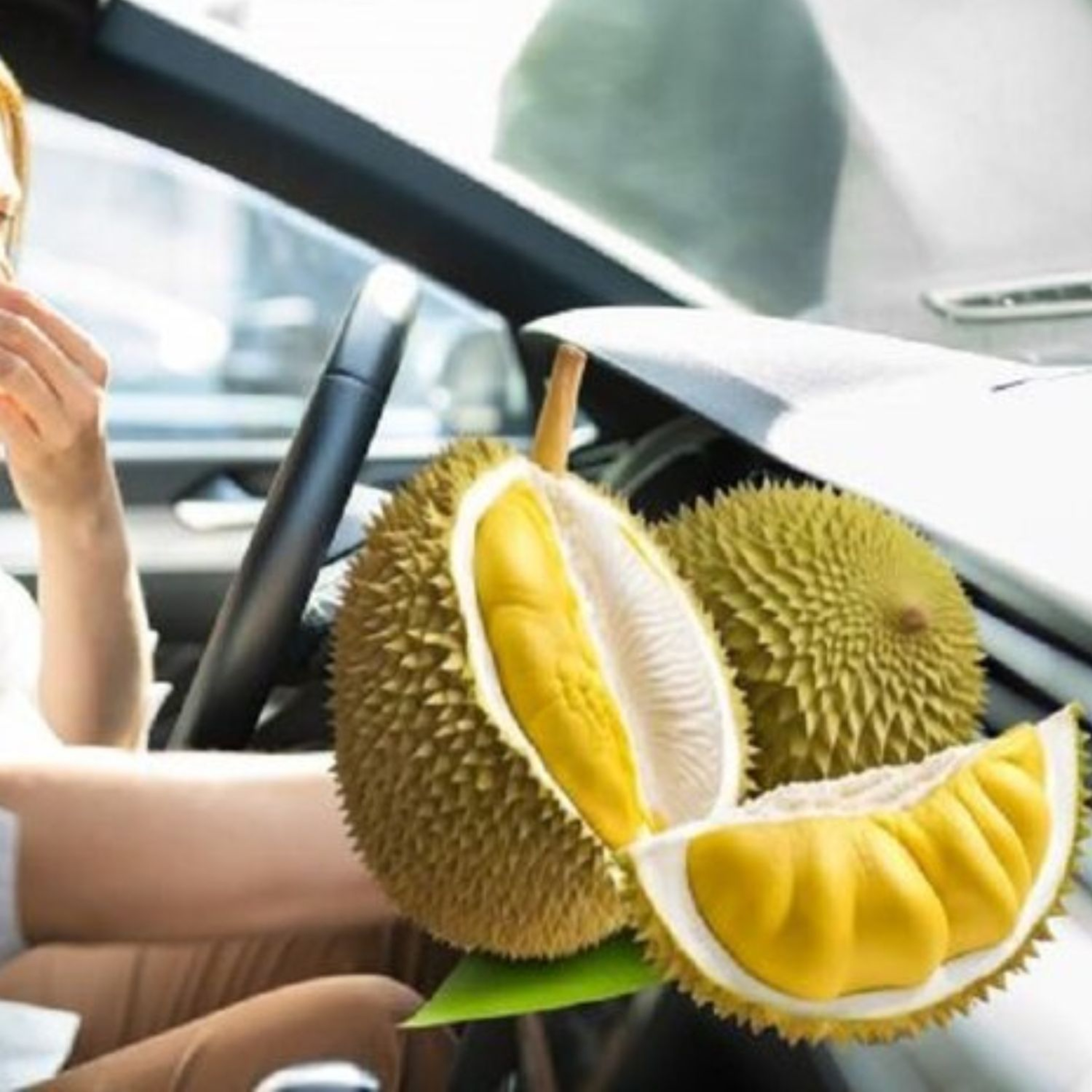 Phụ Tùng Đức Anh
