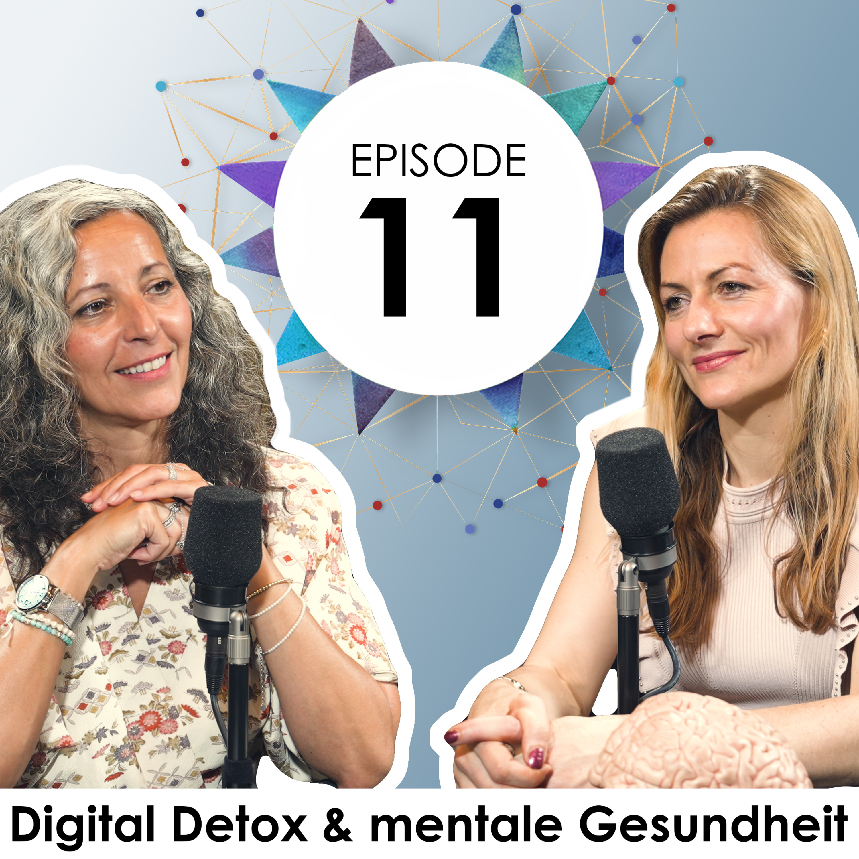 Machen Medien unser Gehirn krank? Holistic Health Podcast No 11 mit Dr. Barbara Studer episode artwork