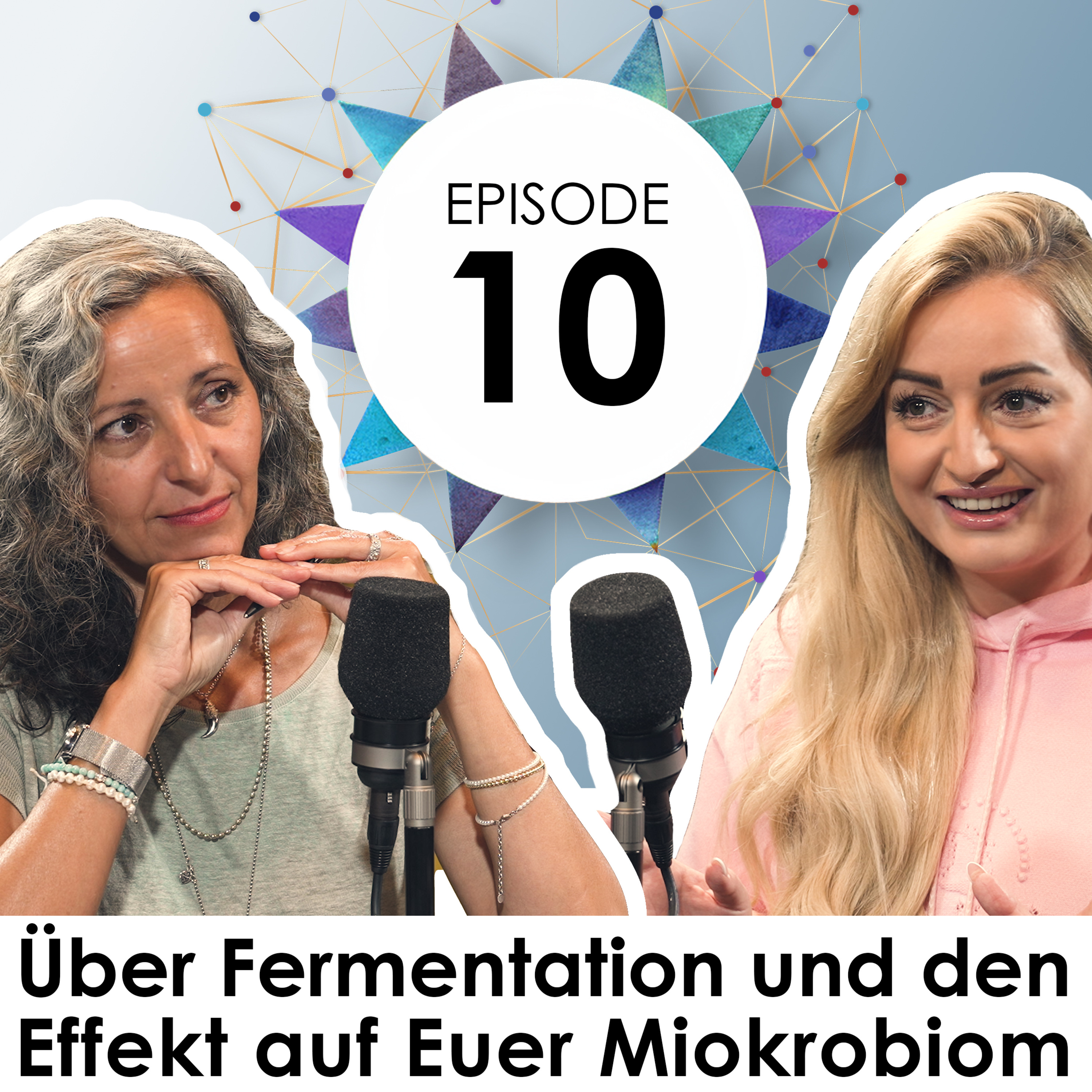 Mit fermentierten Lebensmitteln heilen? Holistic Health Podcast No 10 mit Grazia Stallone May von Dr. Niedermaier Pharma über Fermentation & das Mikrobiom episode artwork