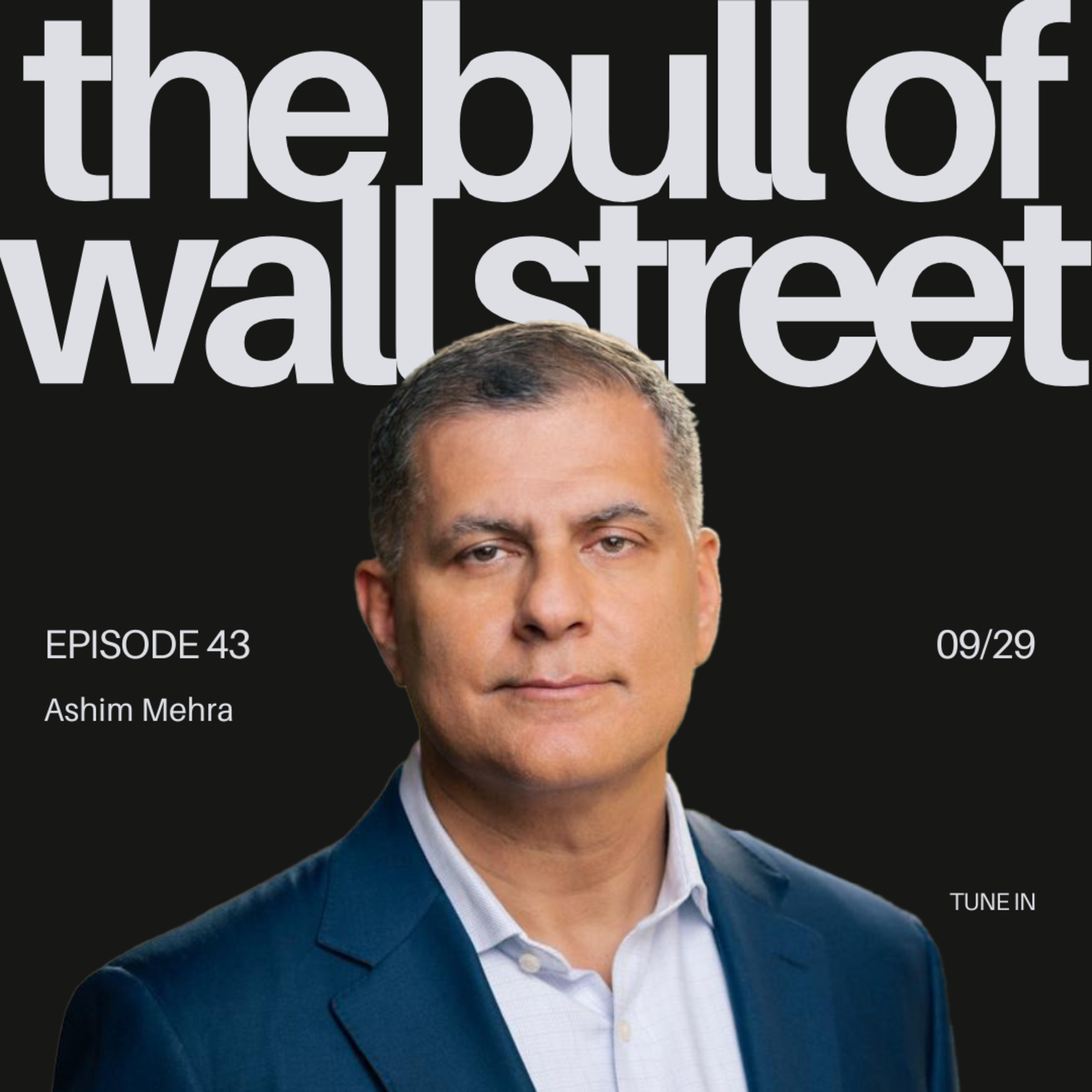 #43 - Ashim Mehra on AI’s Frenetic Pace, Bubbles vs. Manias, and the Next Wave of Disruption (recorded 09/29/25) episode artwork