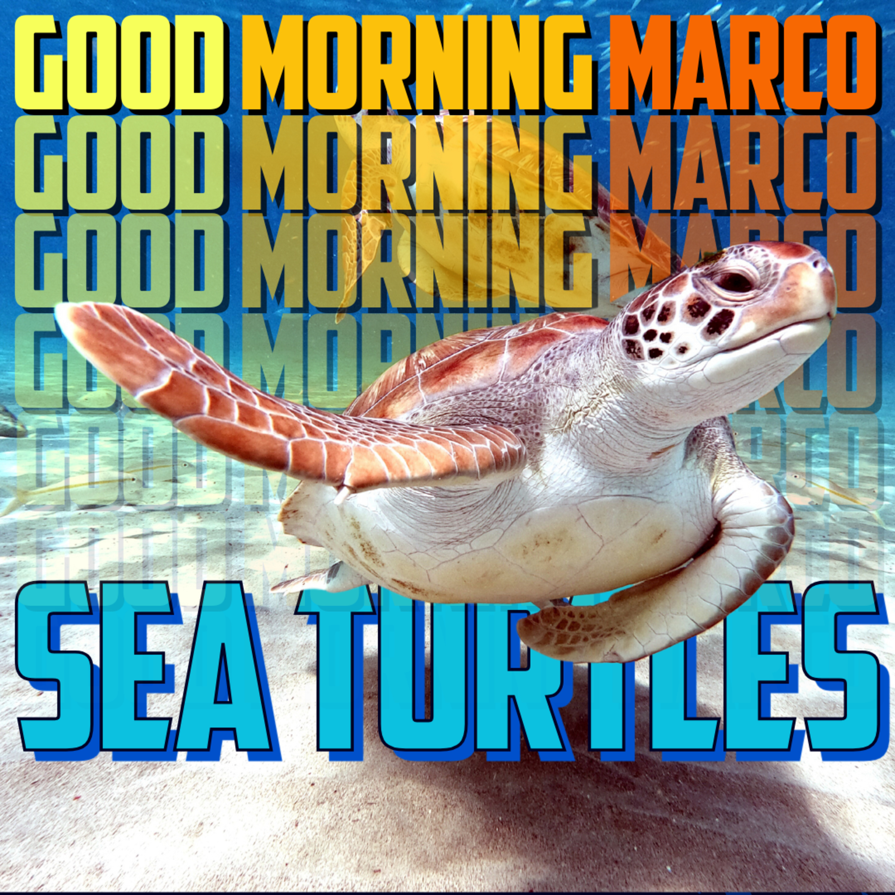 Good Morning Marco