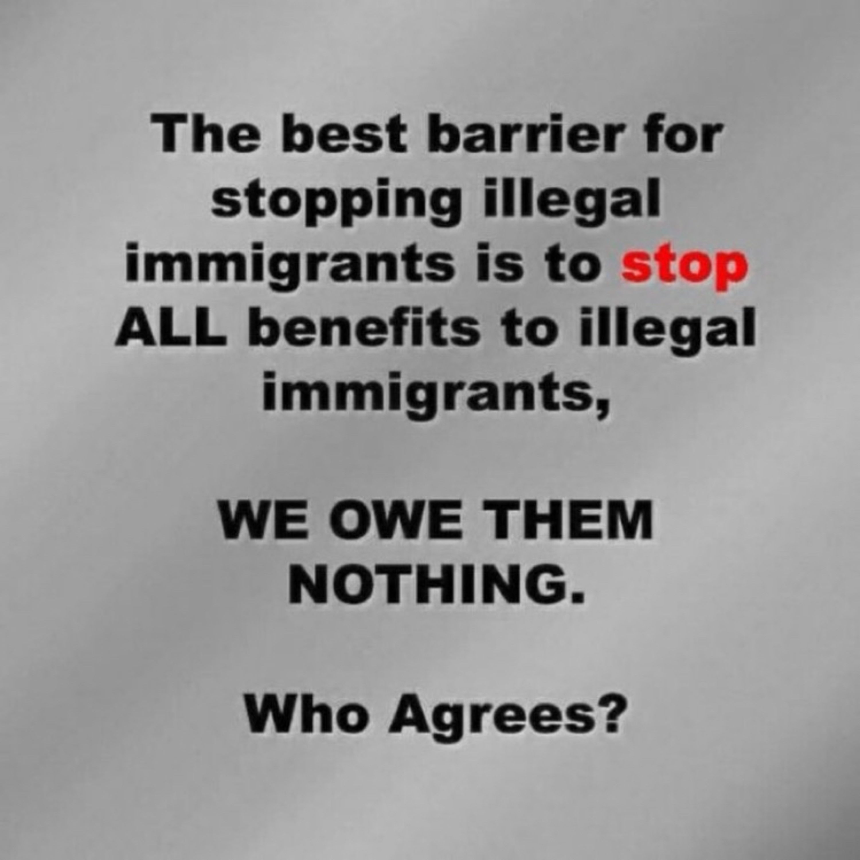 The Patriot Party: We put The Constitution and America First