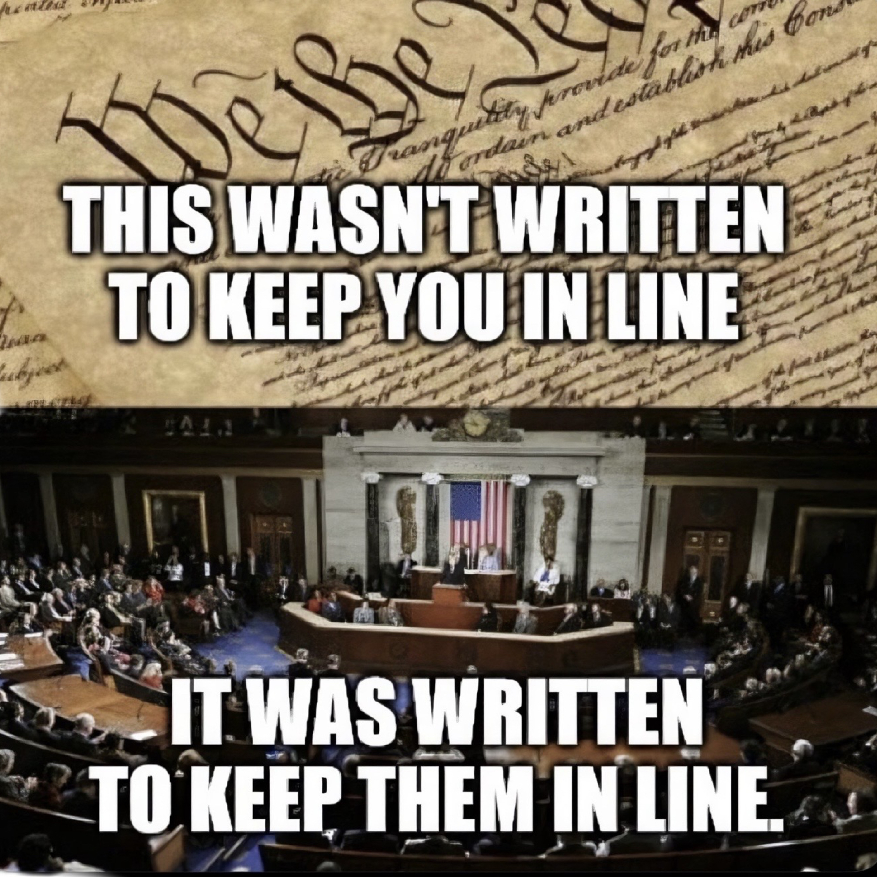 The Patriot Party: We put Truth, the Constitution and America First.