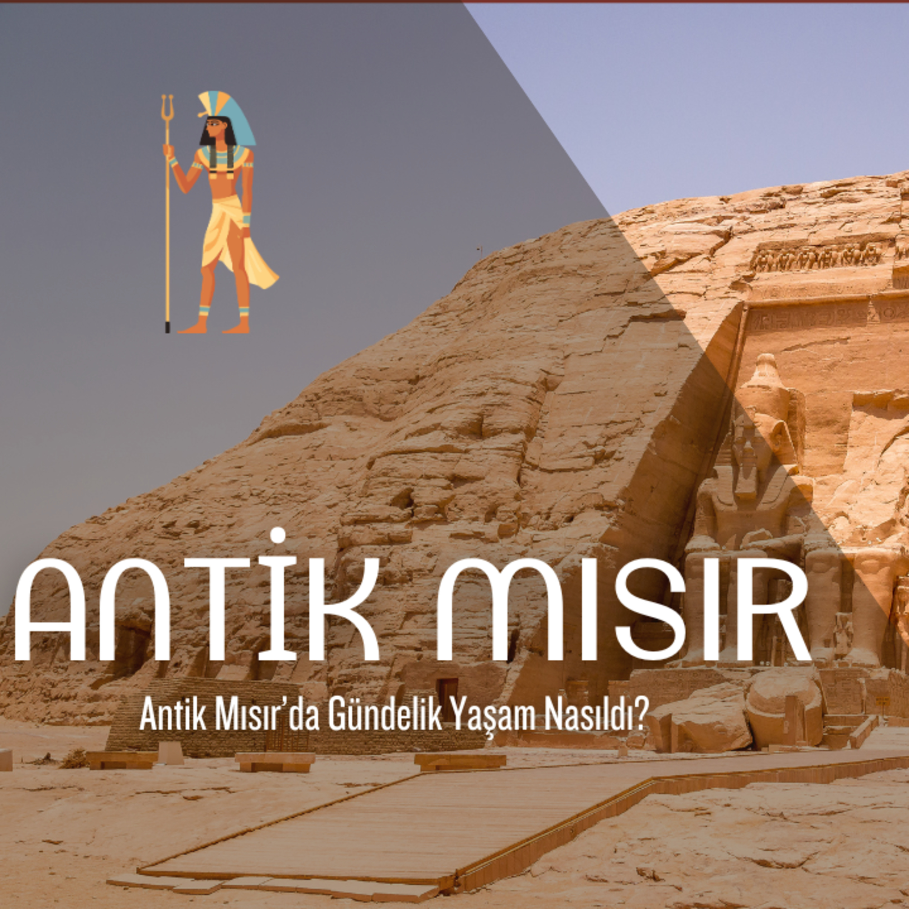 Cey Anlatıyor