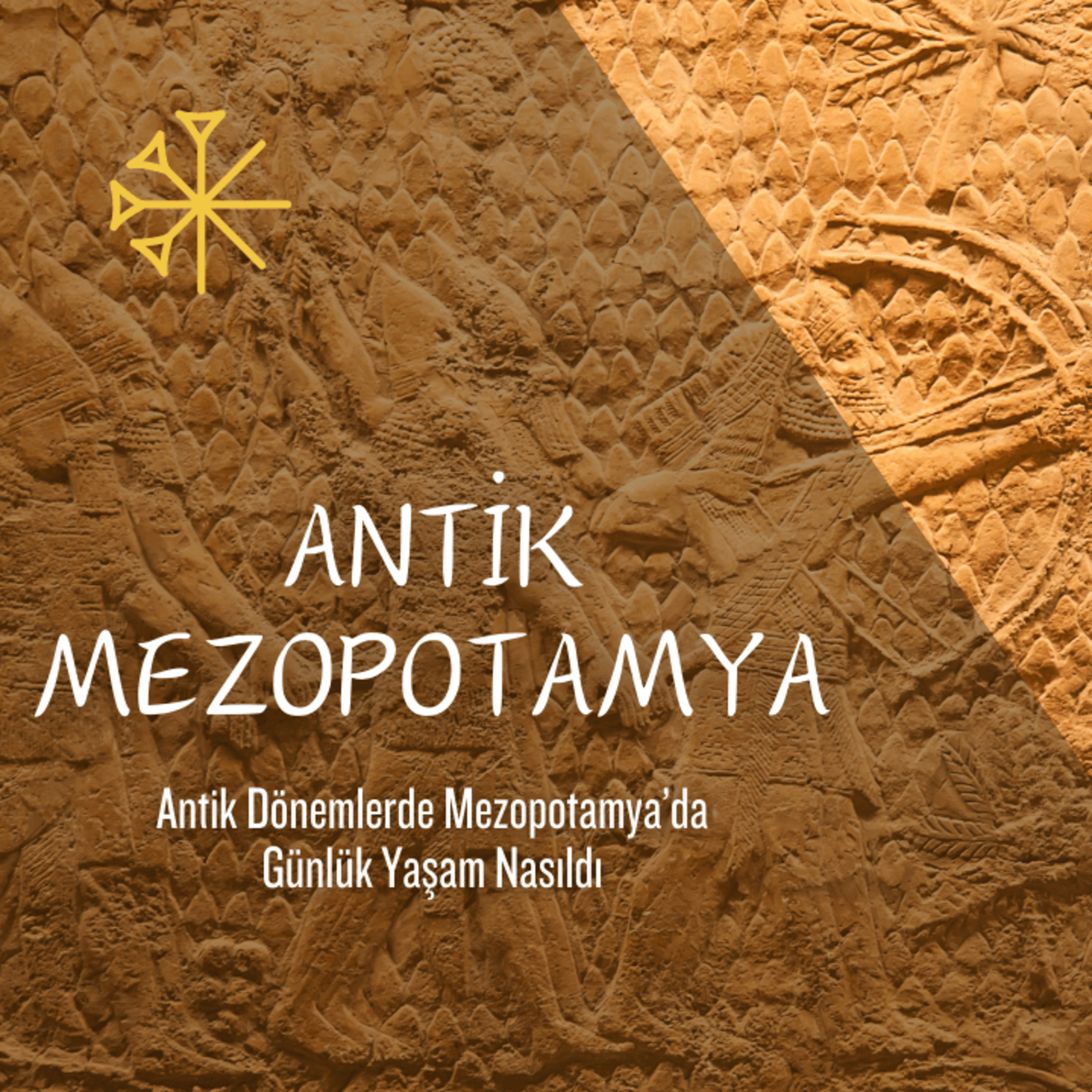 Cey Anlatıyor
