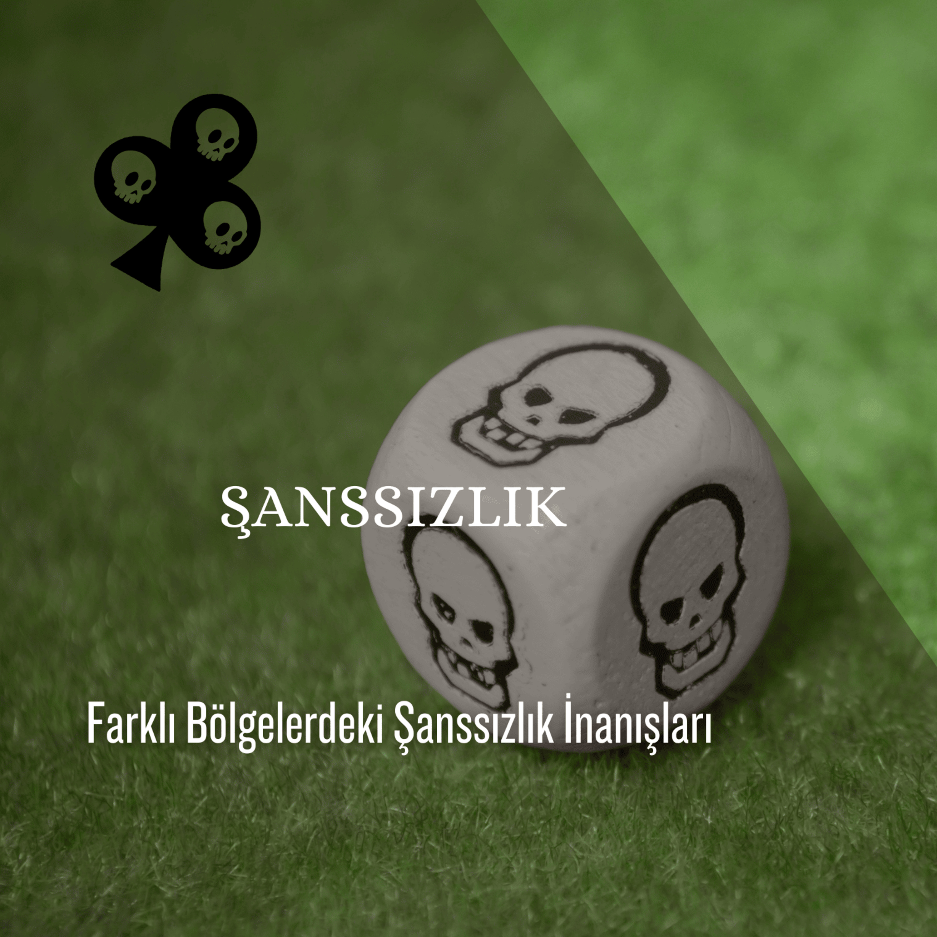 Cey Anlatıyor