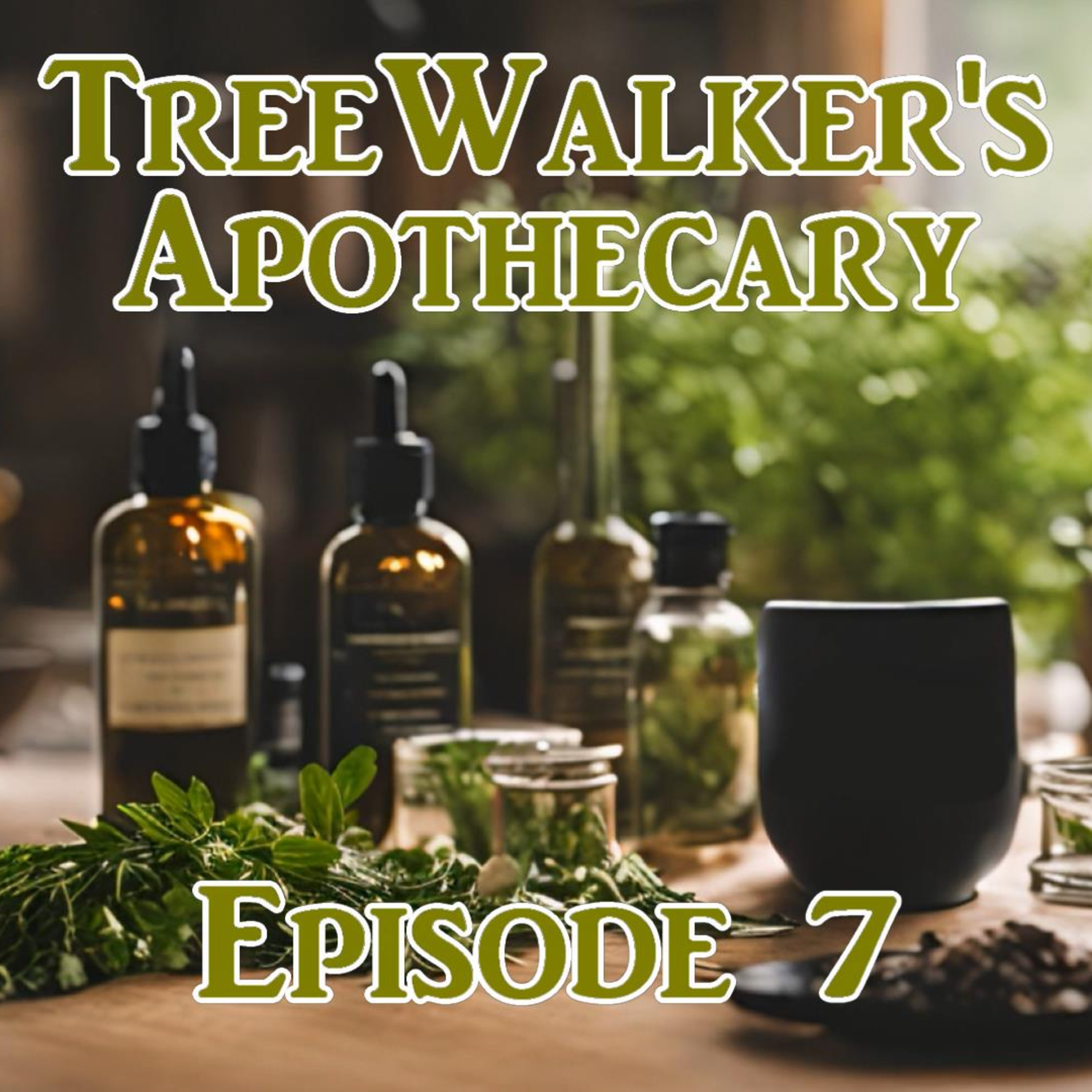 Episode 7: Herbs for Women’s Health – Red Raspberry Leaf, Dong Quai, and Chasteberry
