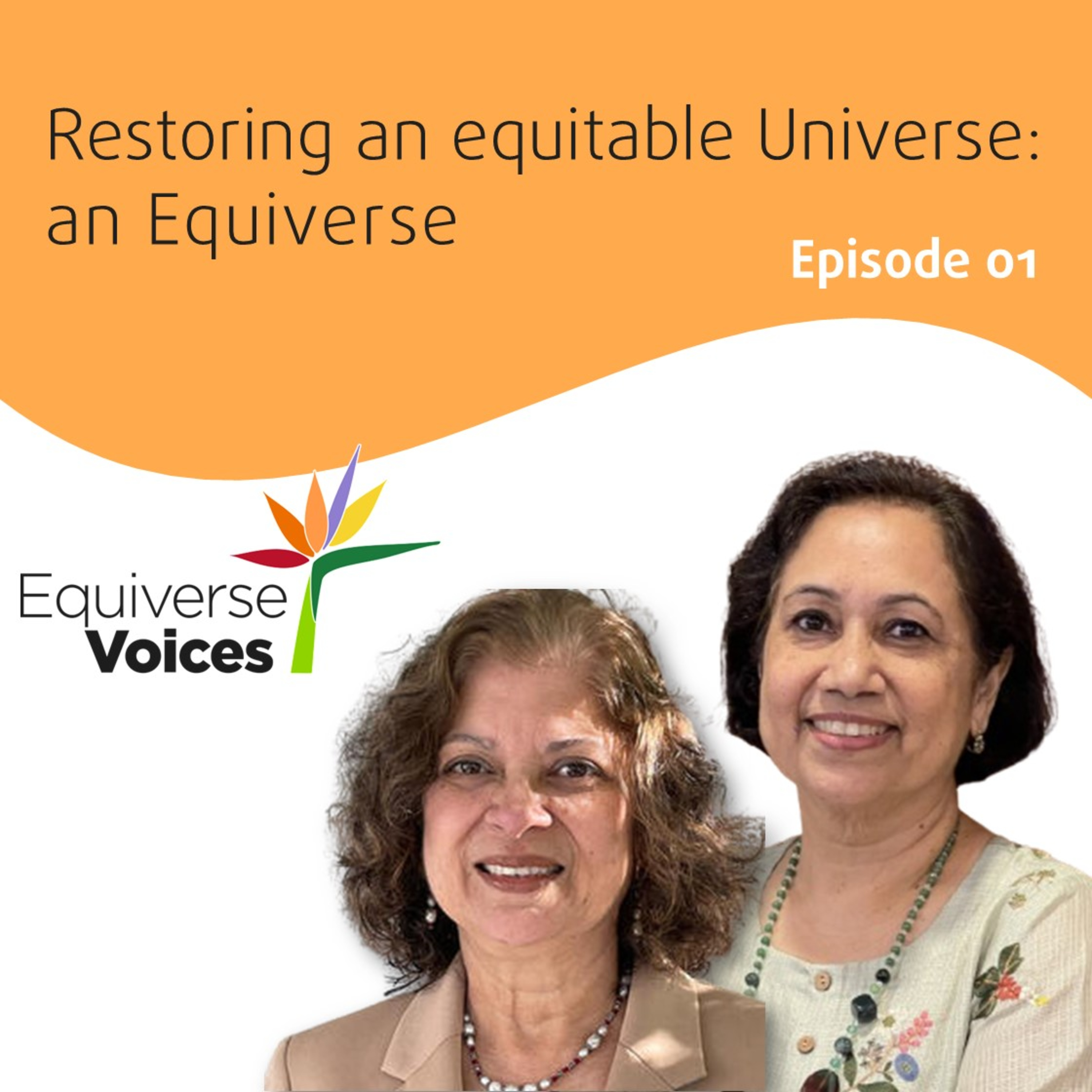 Restoring an equitable Universe-an Equiverse episode artwork