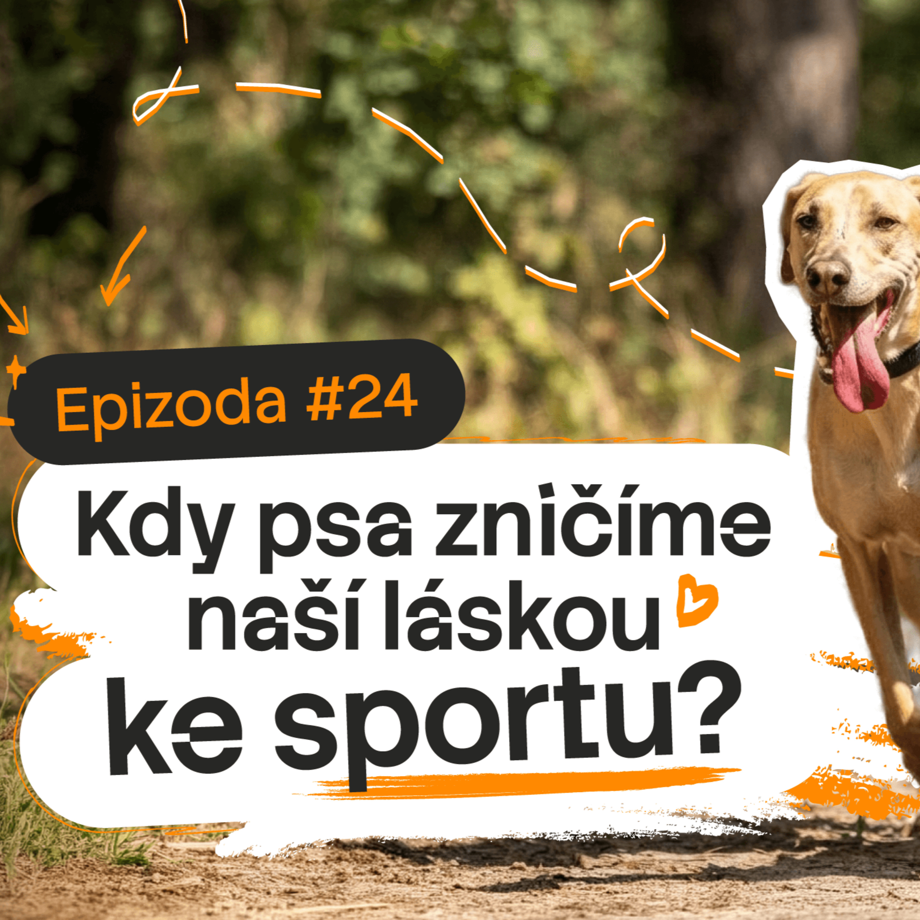 Kdy psa zničíme naší láskou ke sportu? | Psí duše #04 episode artwork