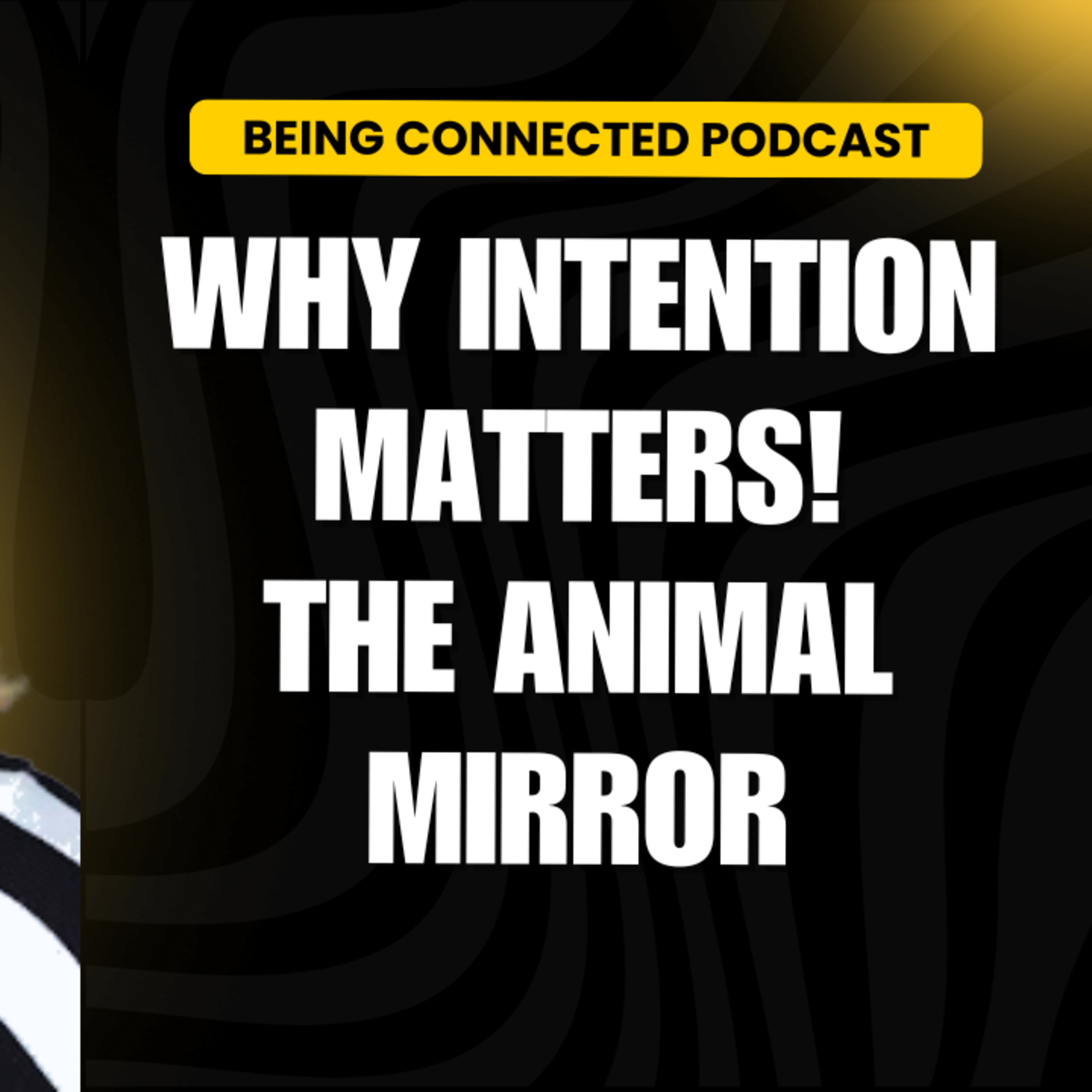 Why Your Intention Matters episode artwork