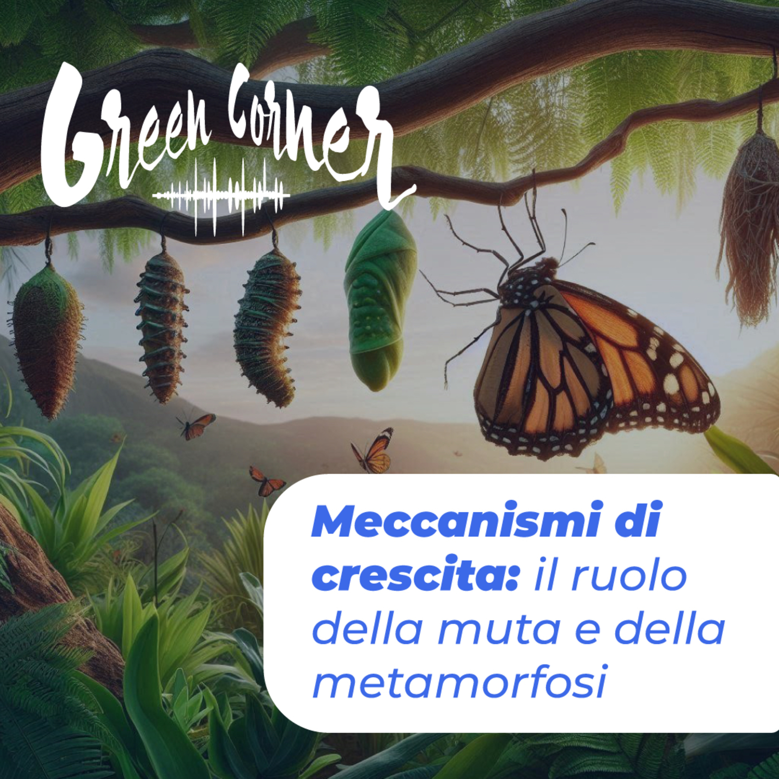 Green Corner