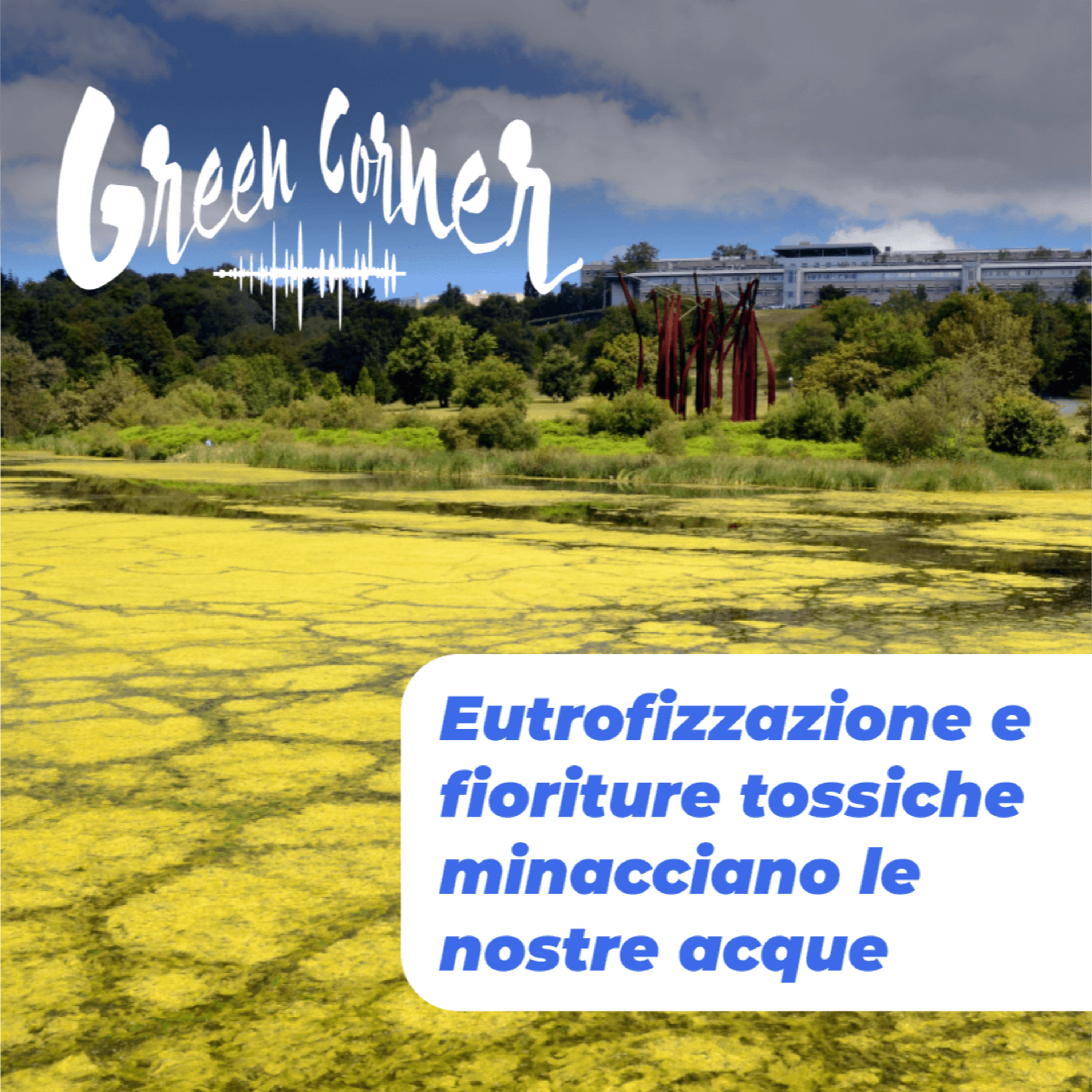 Green Corner