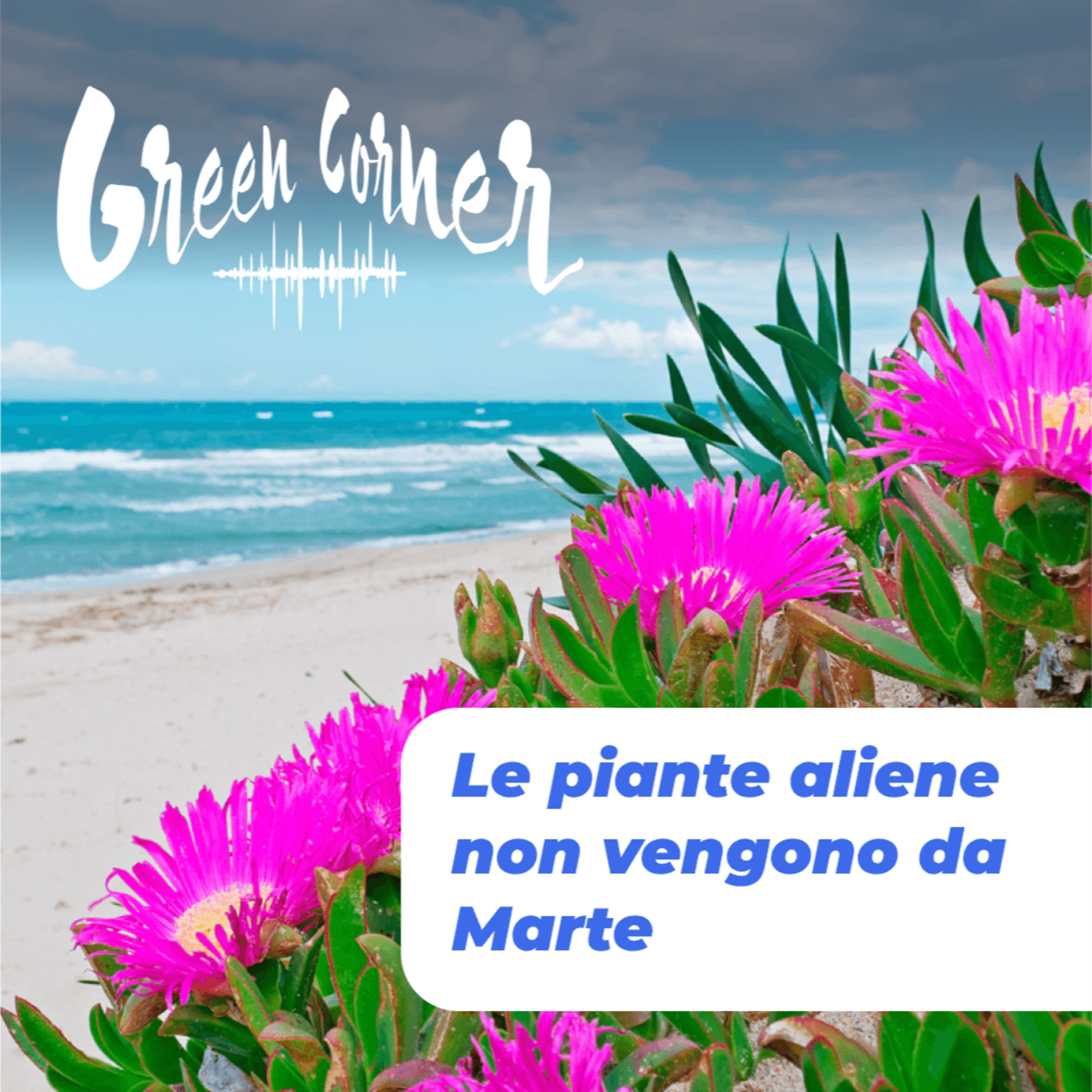 Green Corner