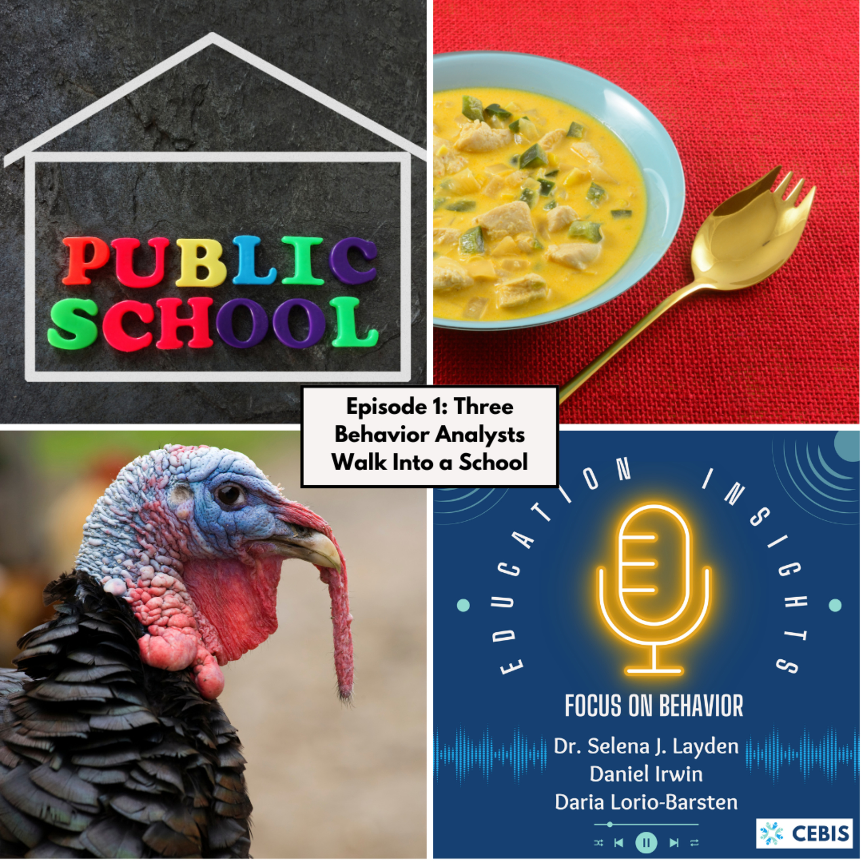 Education Insights: Focus on Behavior