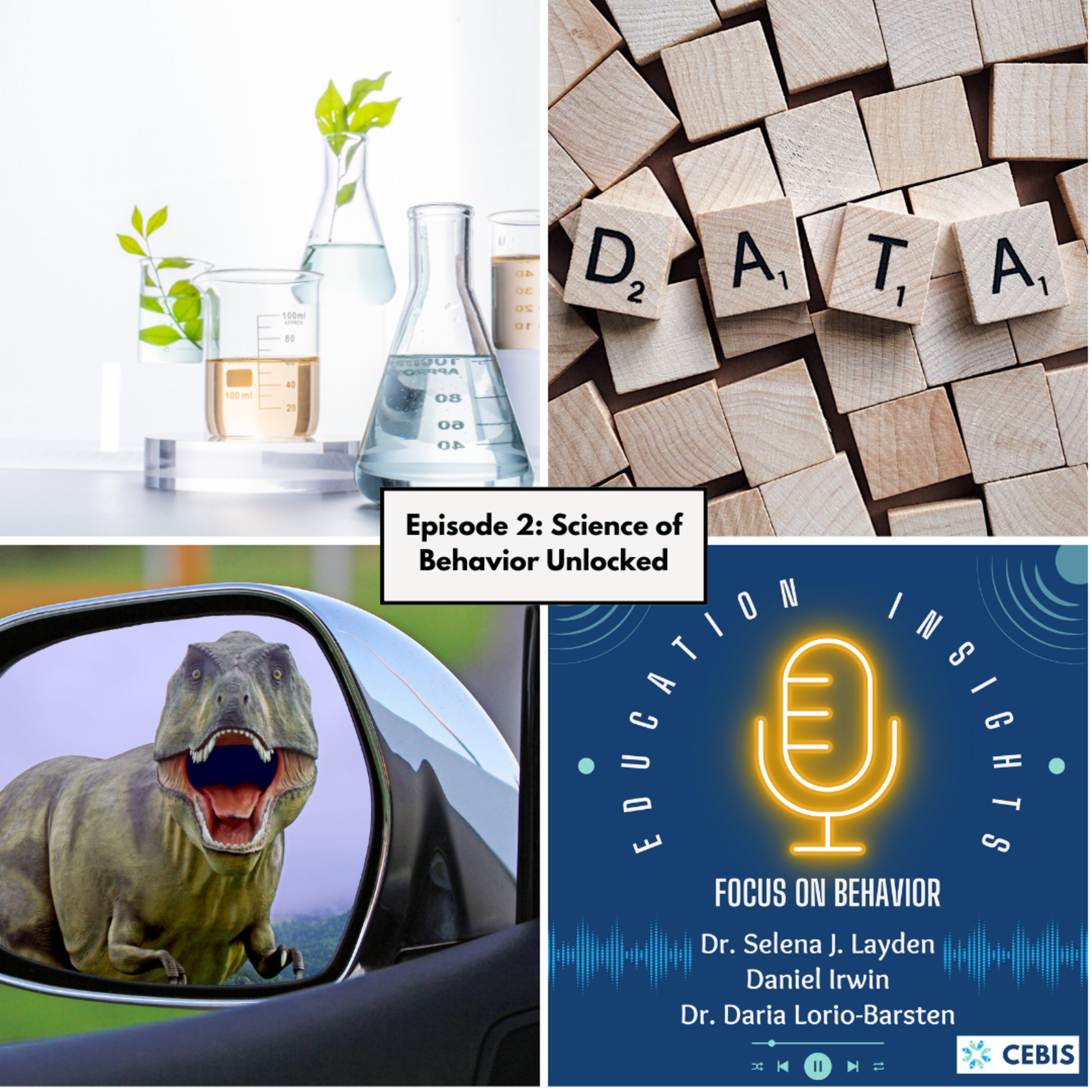Education Insights: Focus on Behavior