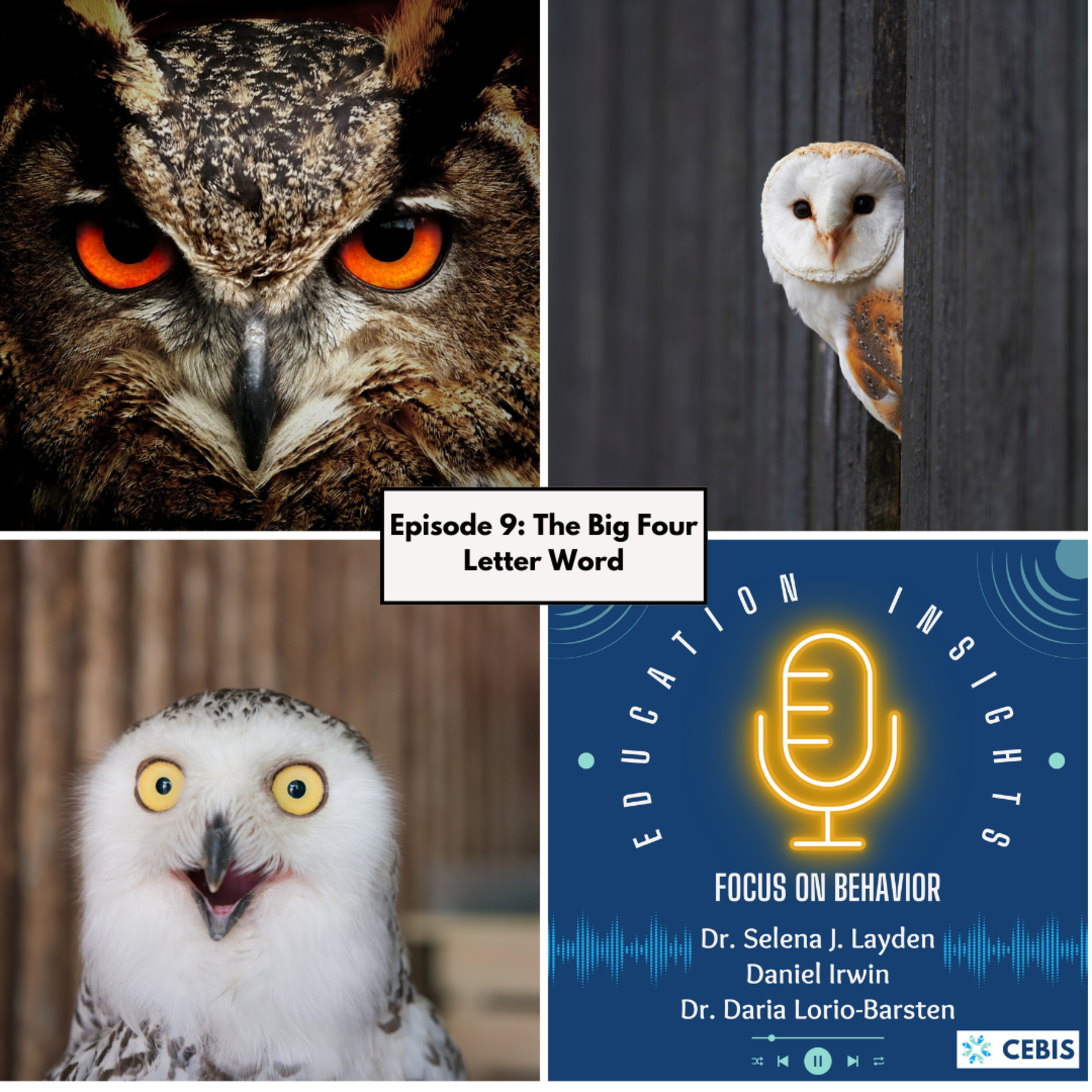 Education Insights: Focus on Behavior