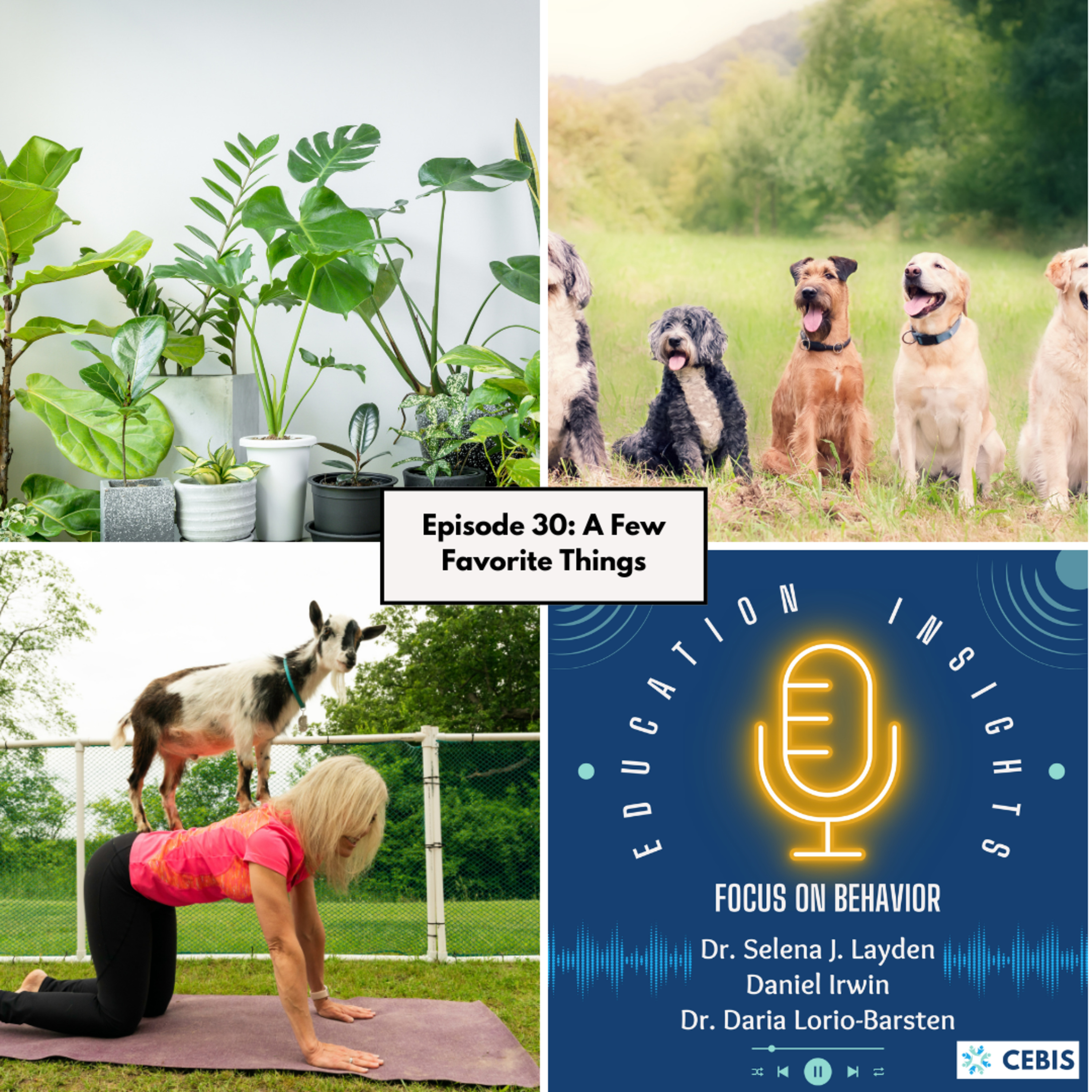 Education Insights: Focus on Behavior